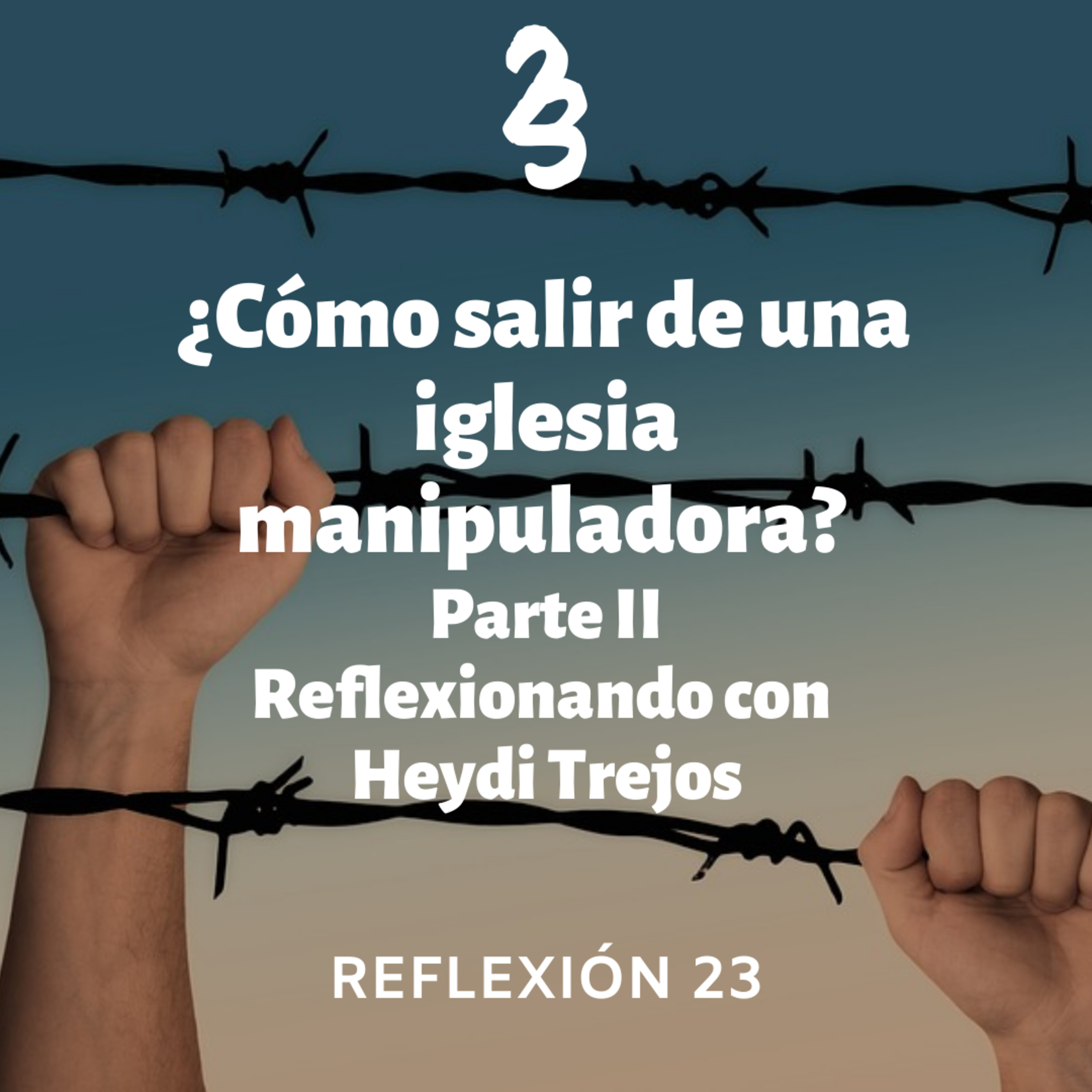 Reflexión 23