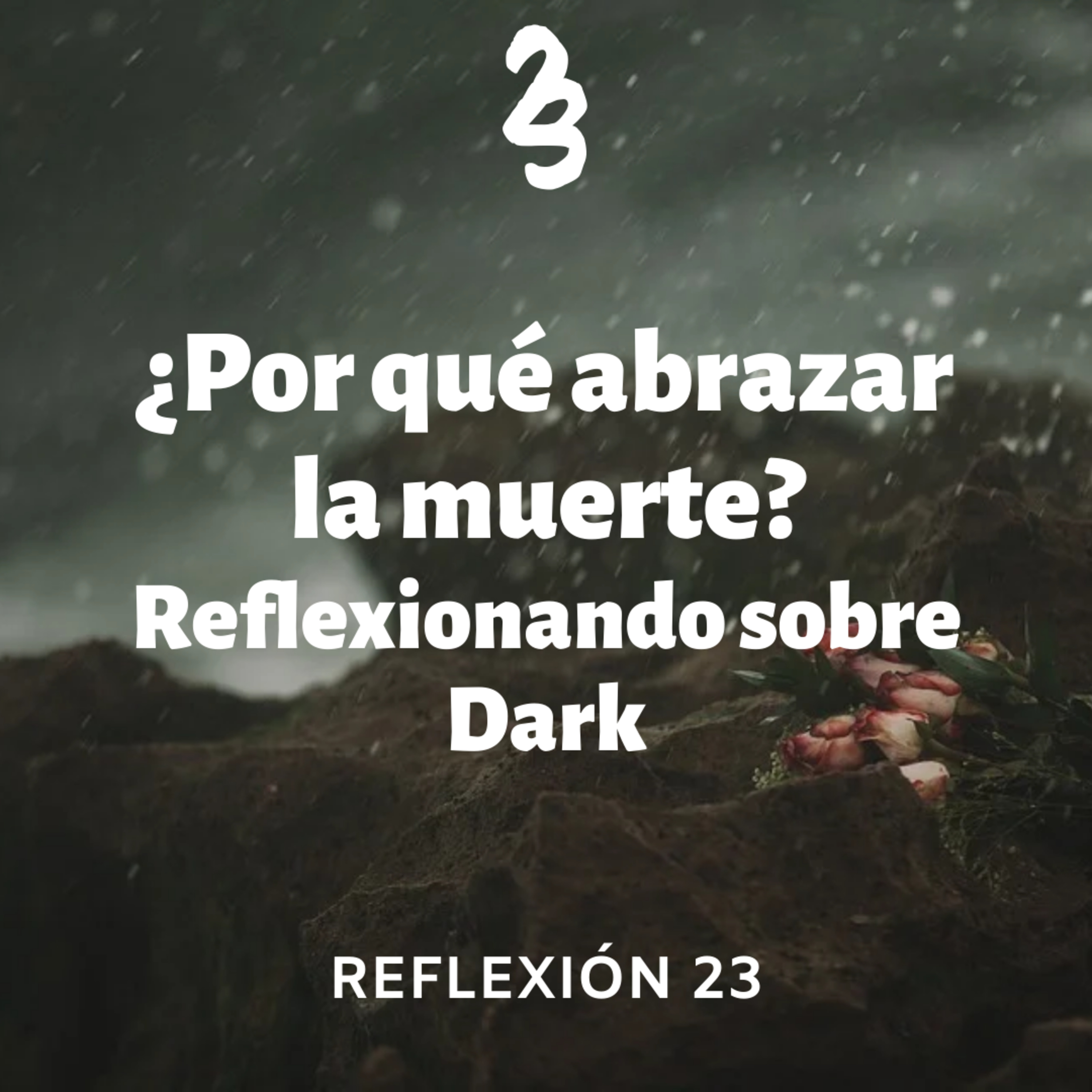 Reflexión 23