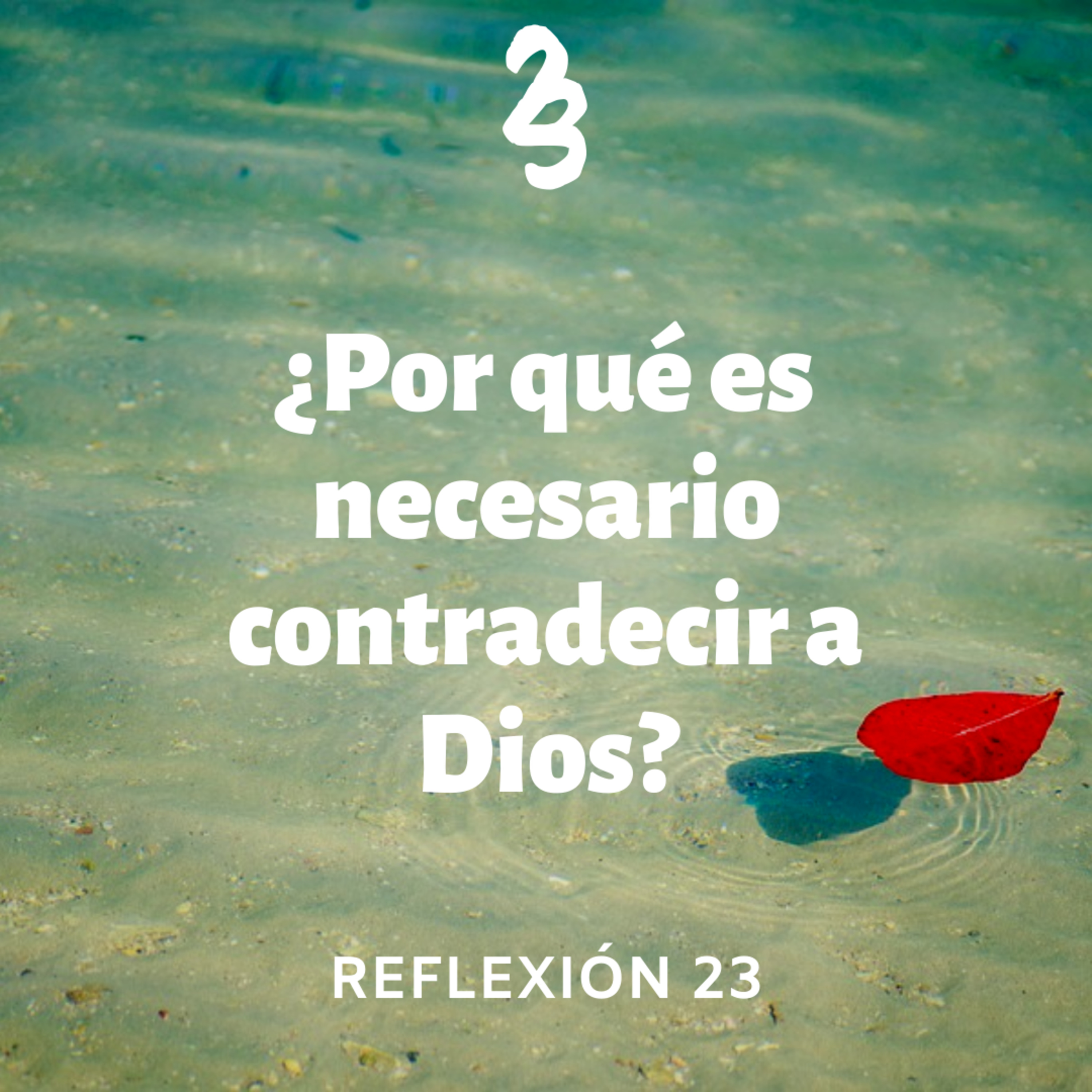 Reflexión 23
