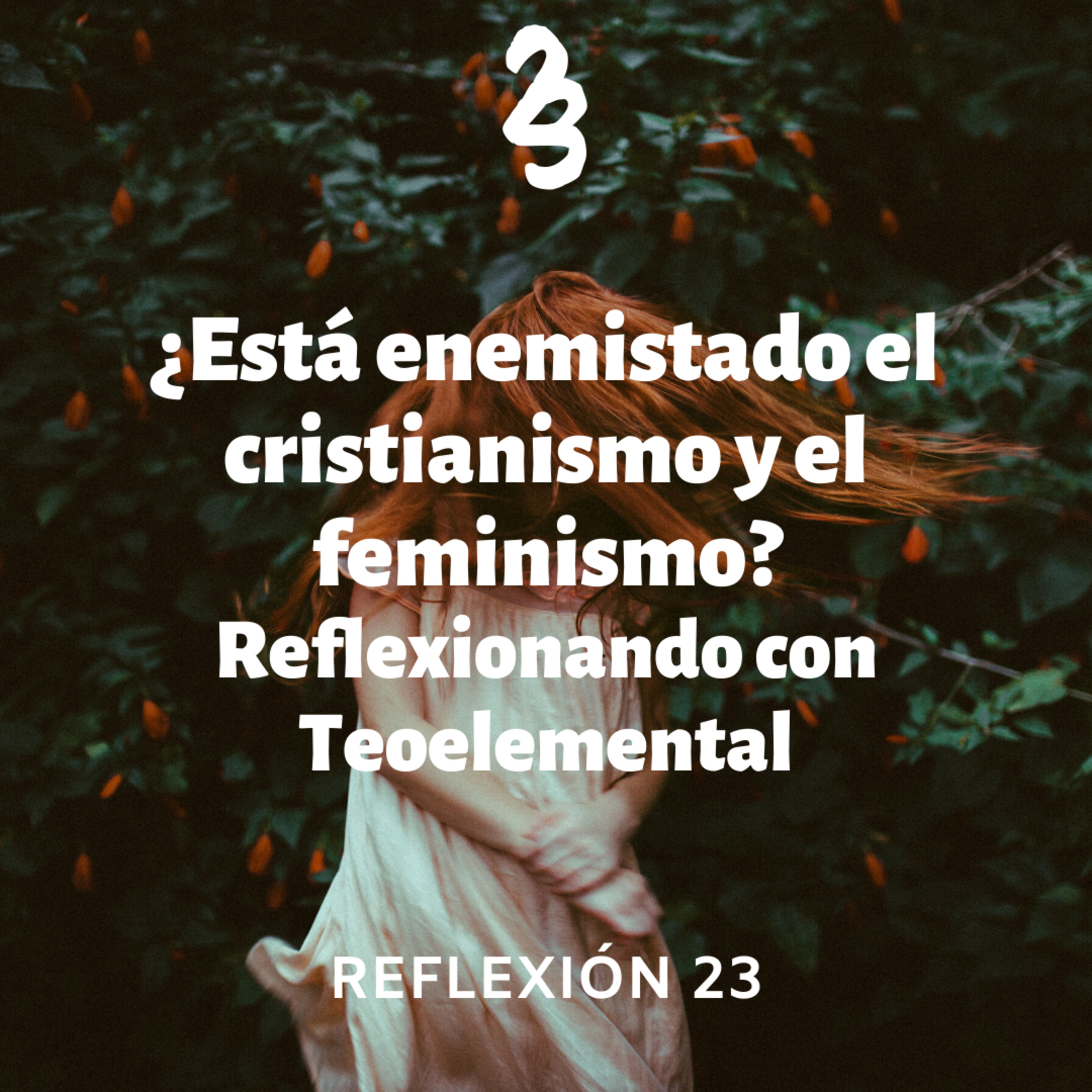 Reflexión 23