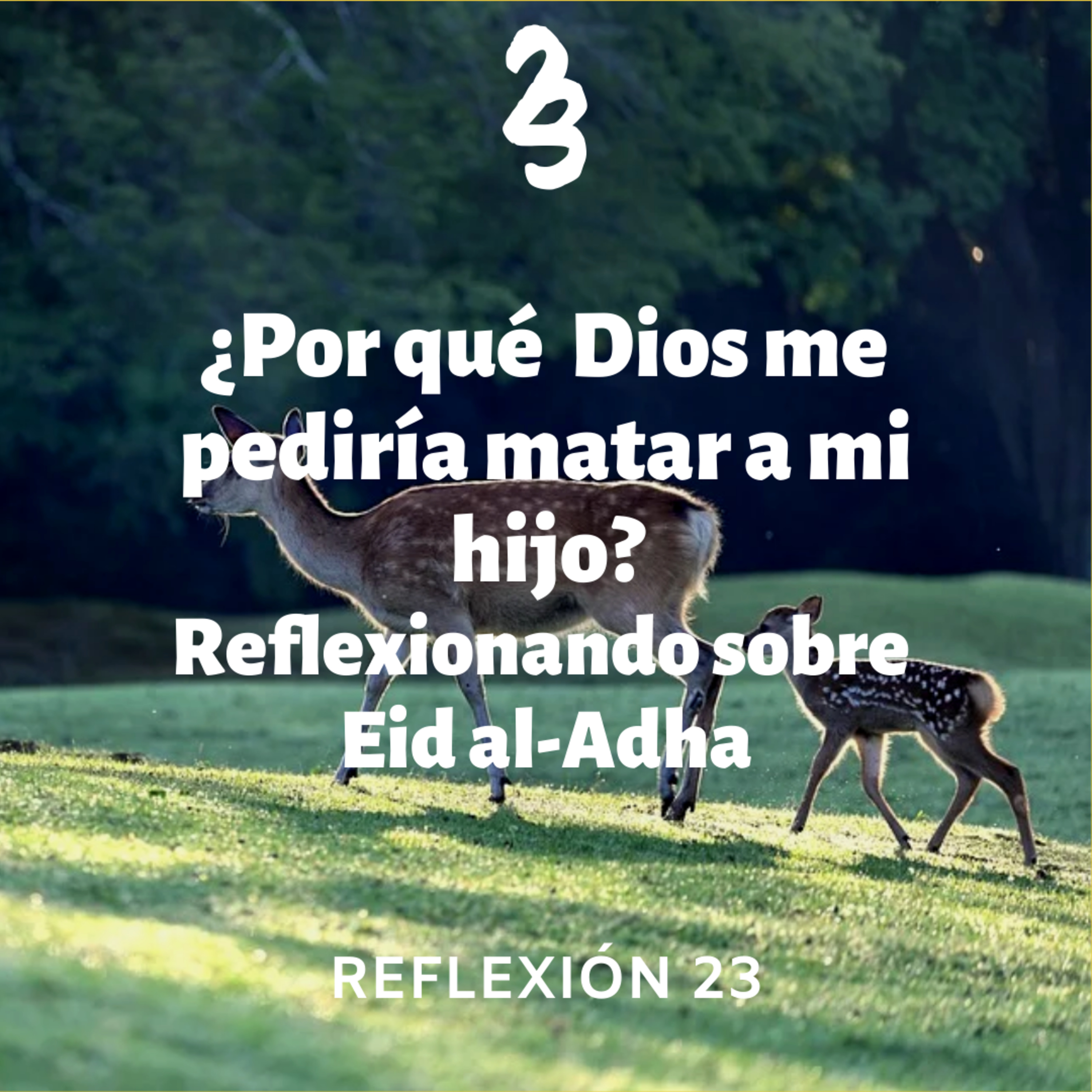 Reflexión 23
