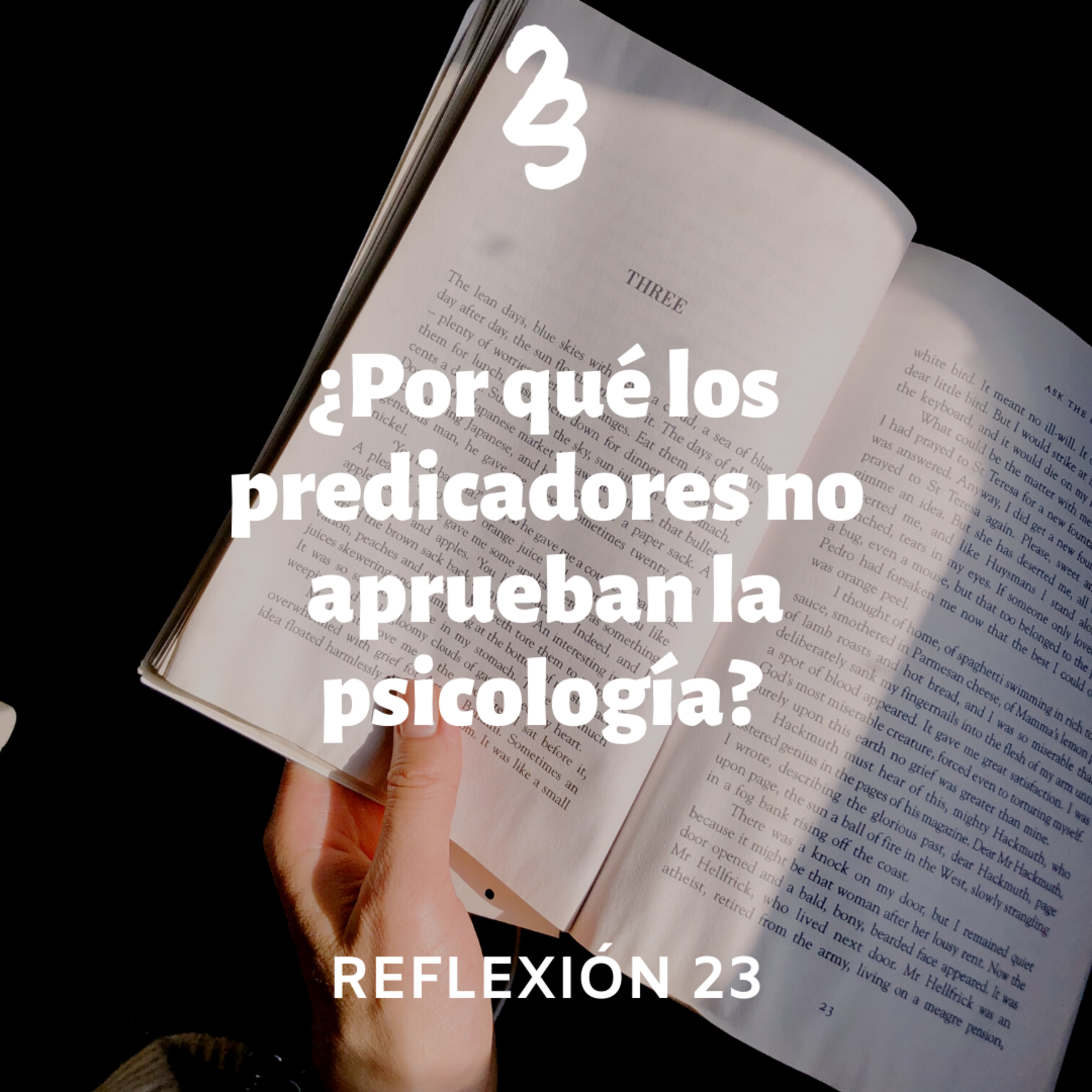 Reflexión 23