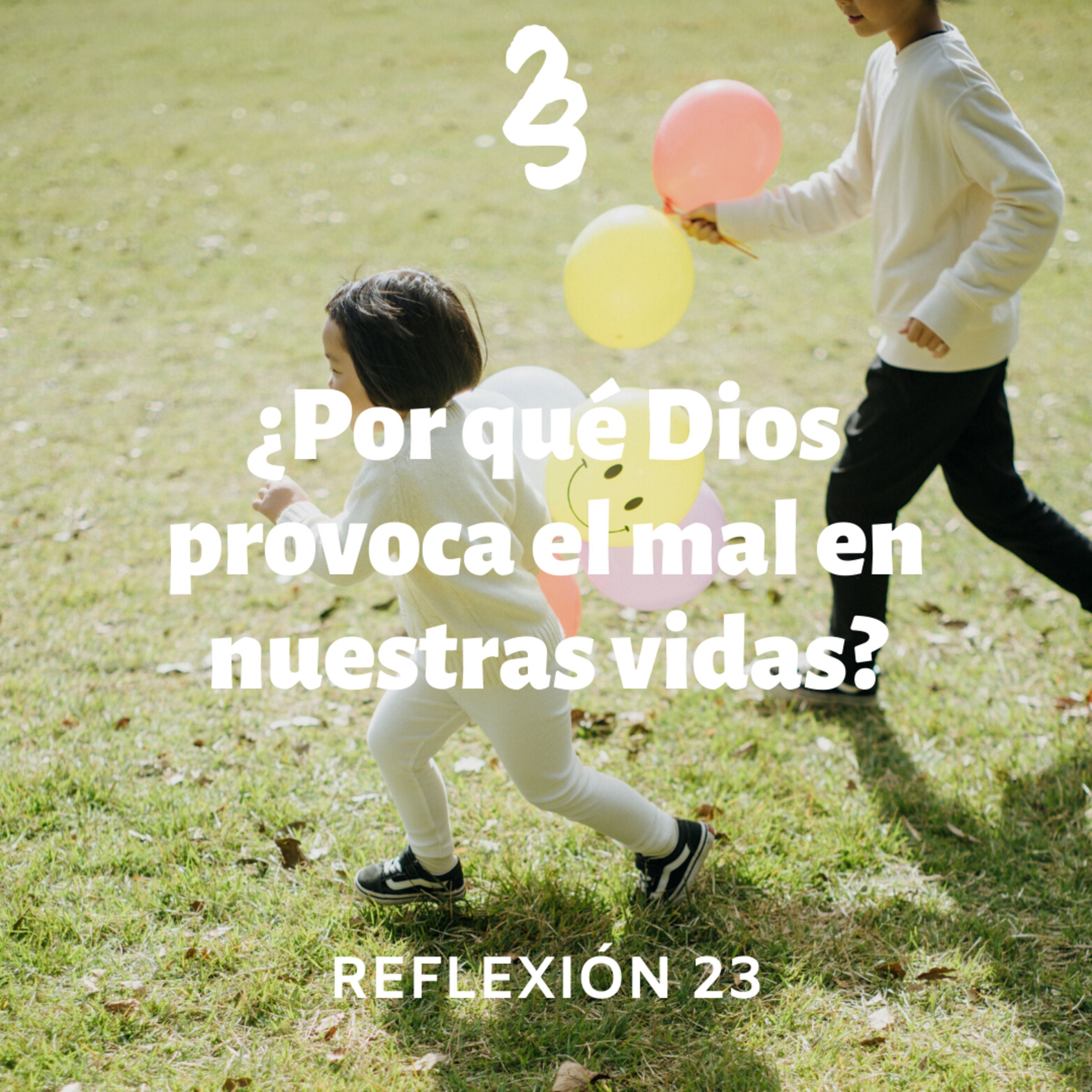 Reflexión 23
