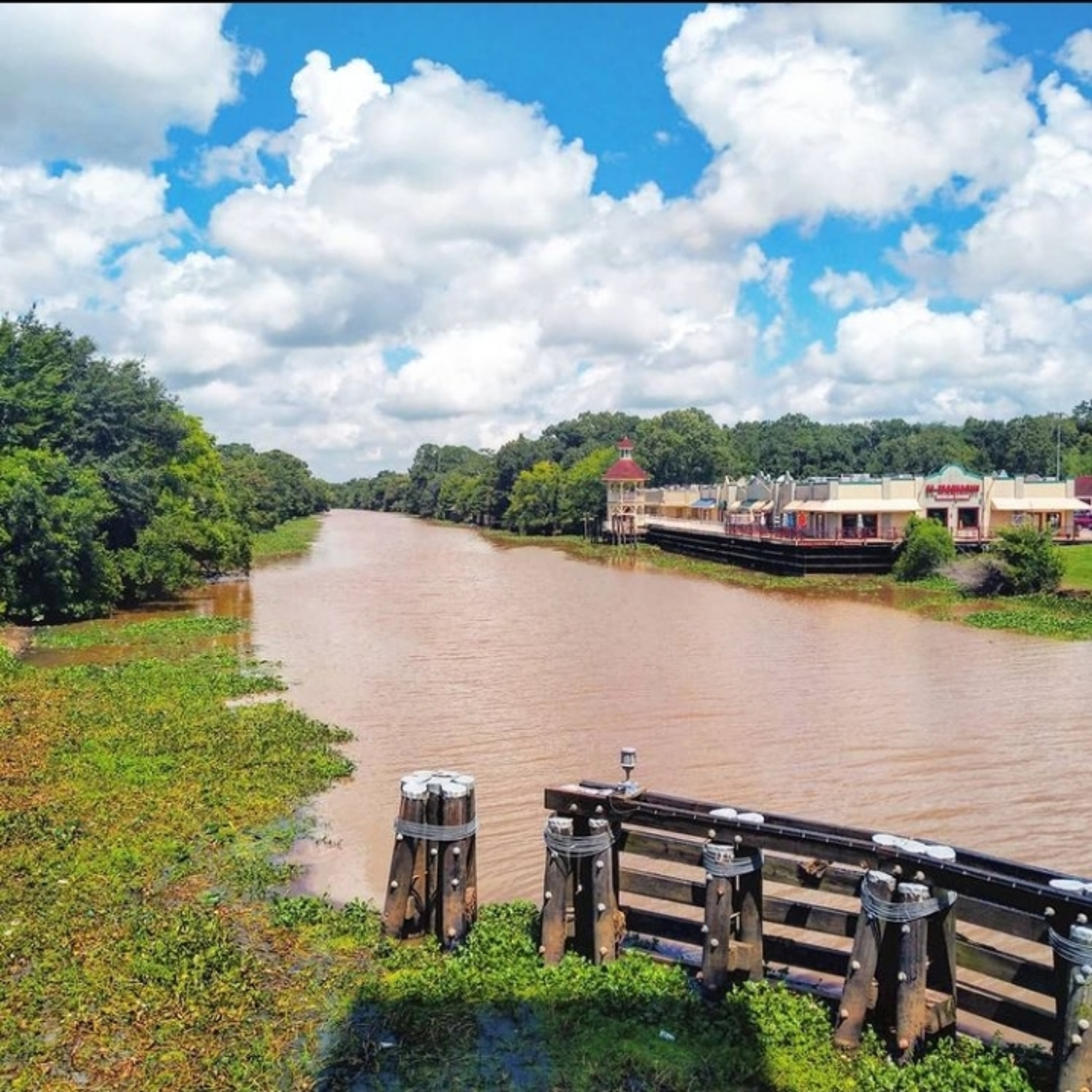 The Solo Podcast With Scott Kidd