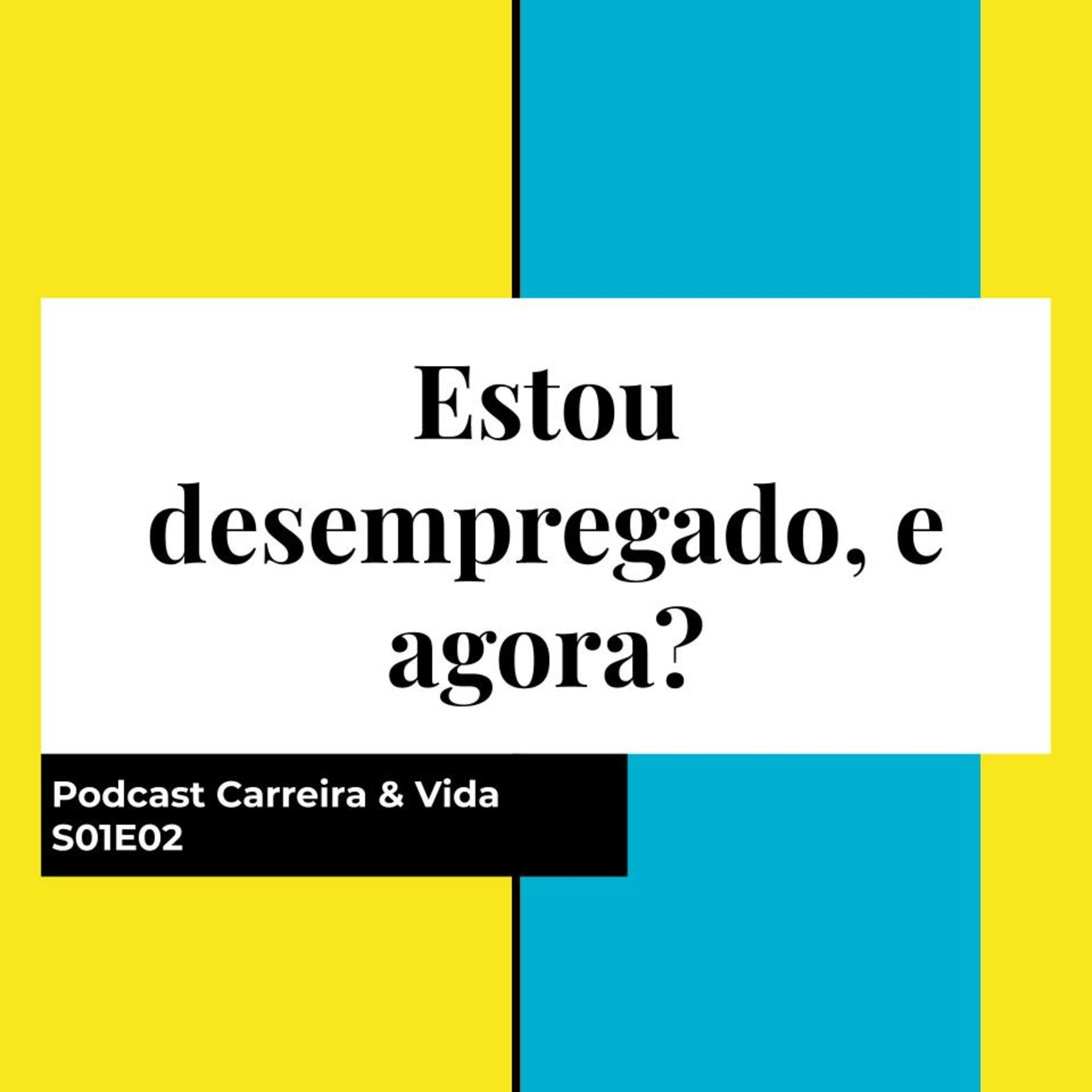 Continuação "Estou desempregado, e agora?"