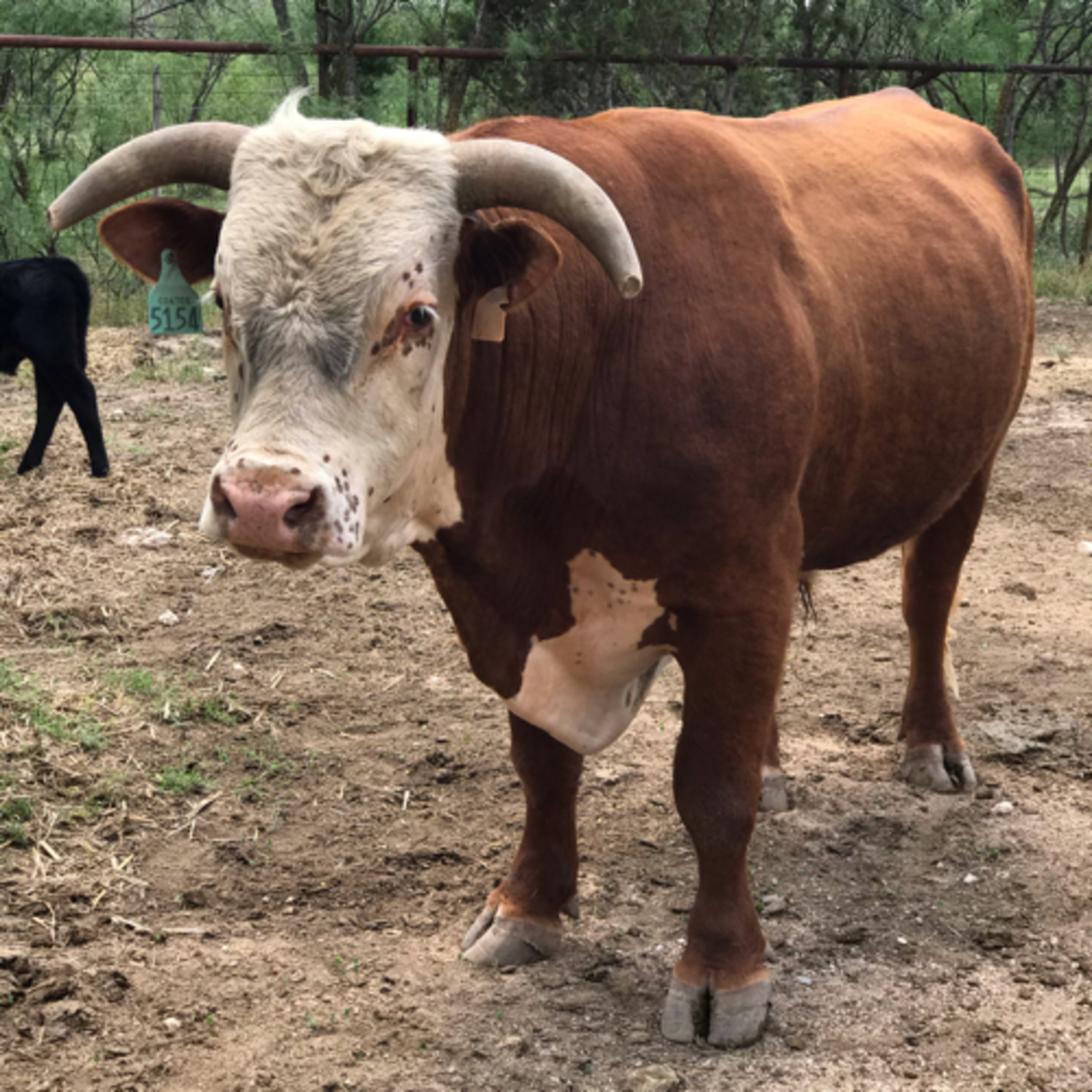 Jethro Overyonder gives a message for you to hear. 