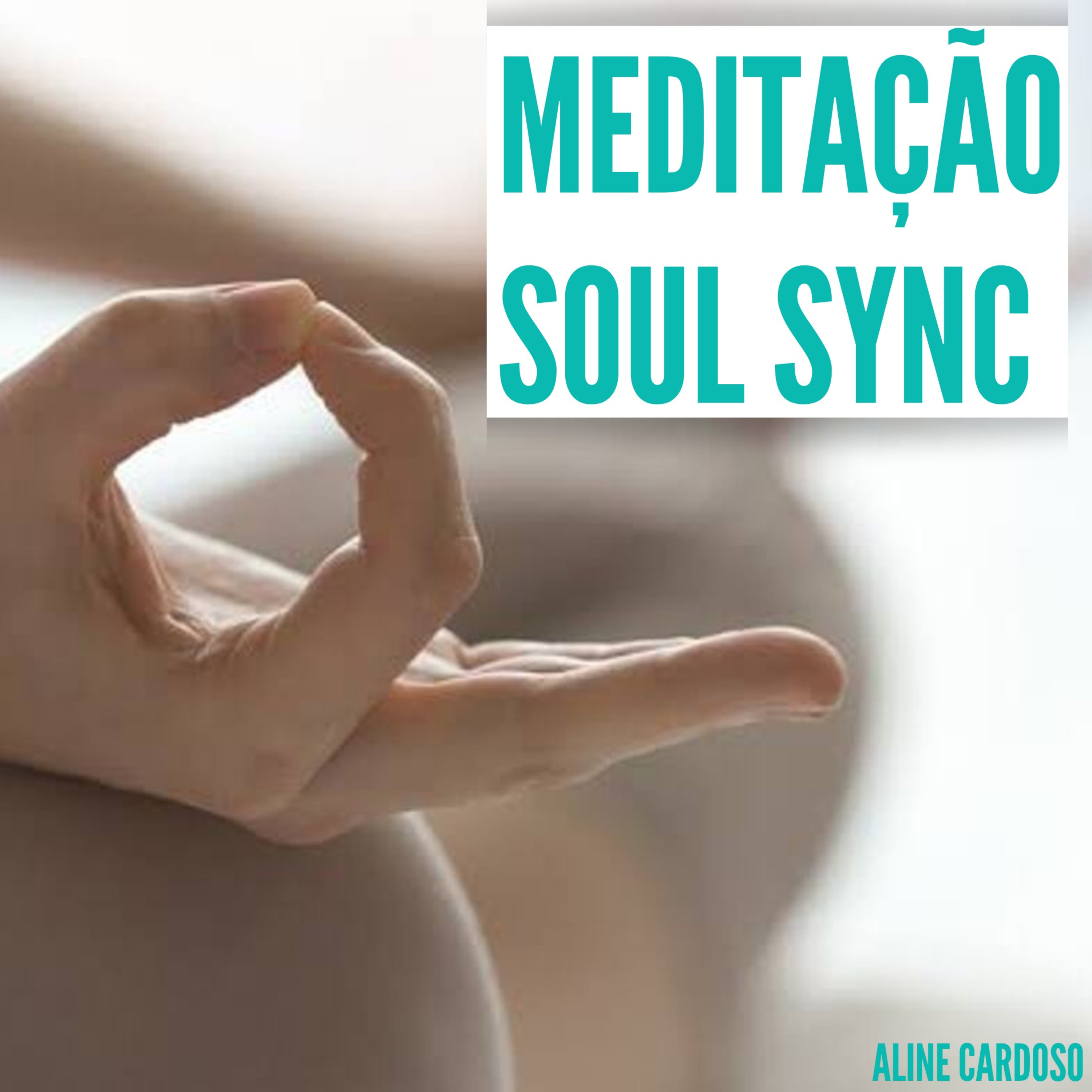 Meditação Soul Sync em português (made in Krishnaji e Preethaji)  episode artwork