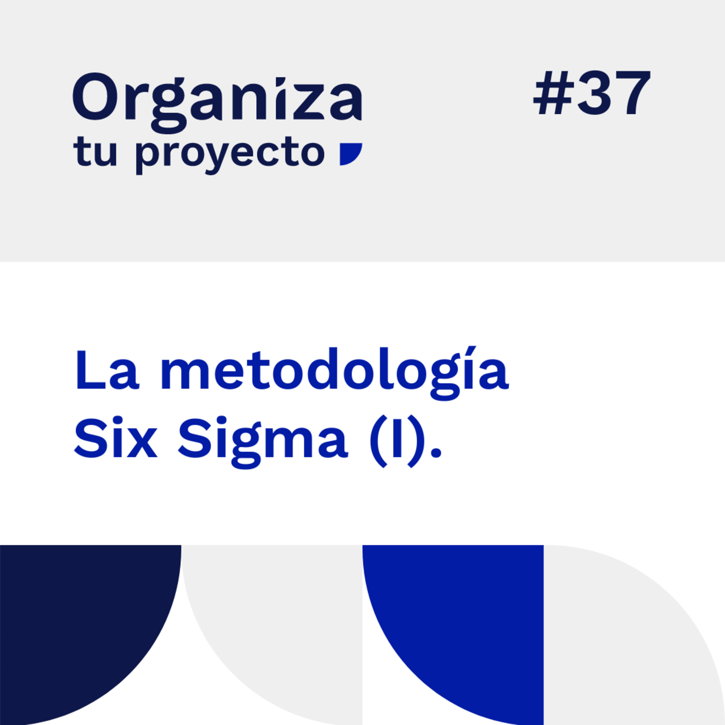 Organiza Tu Proyecto