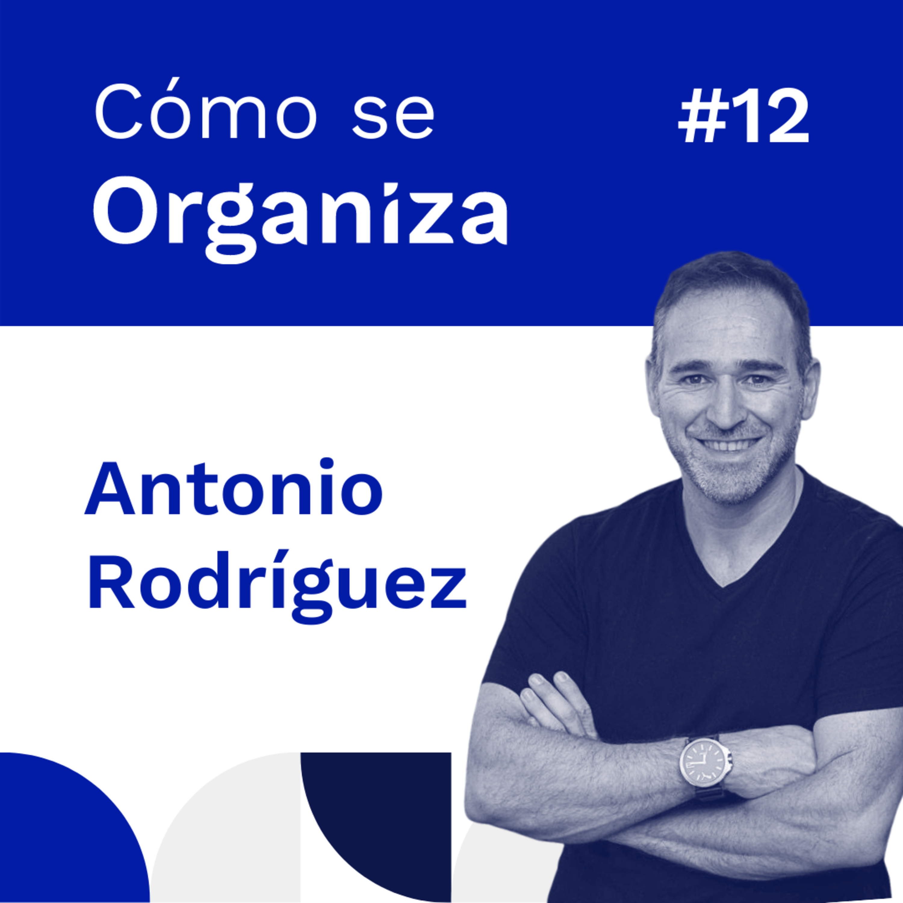 Organiza Tu Proyecto