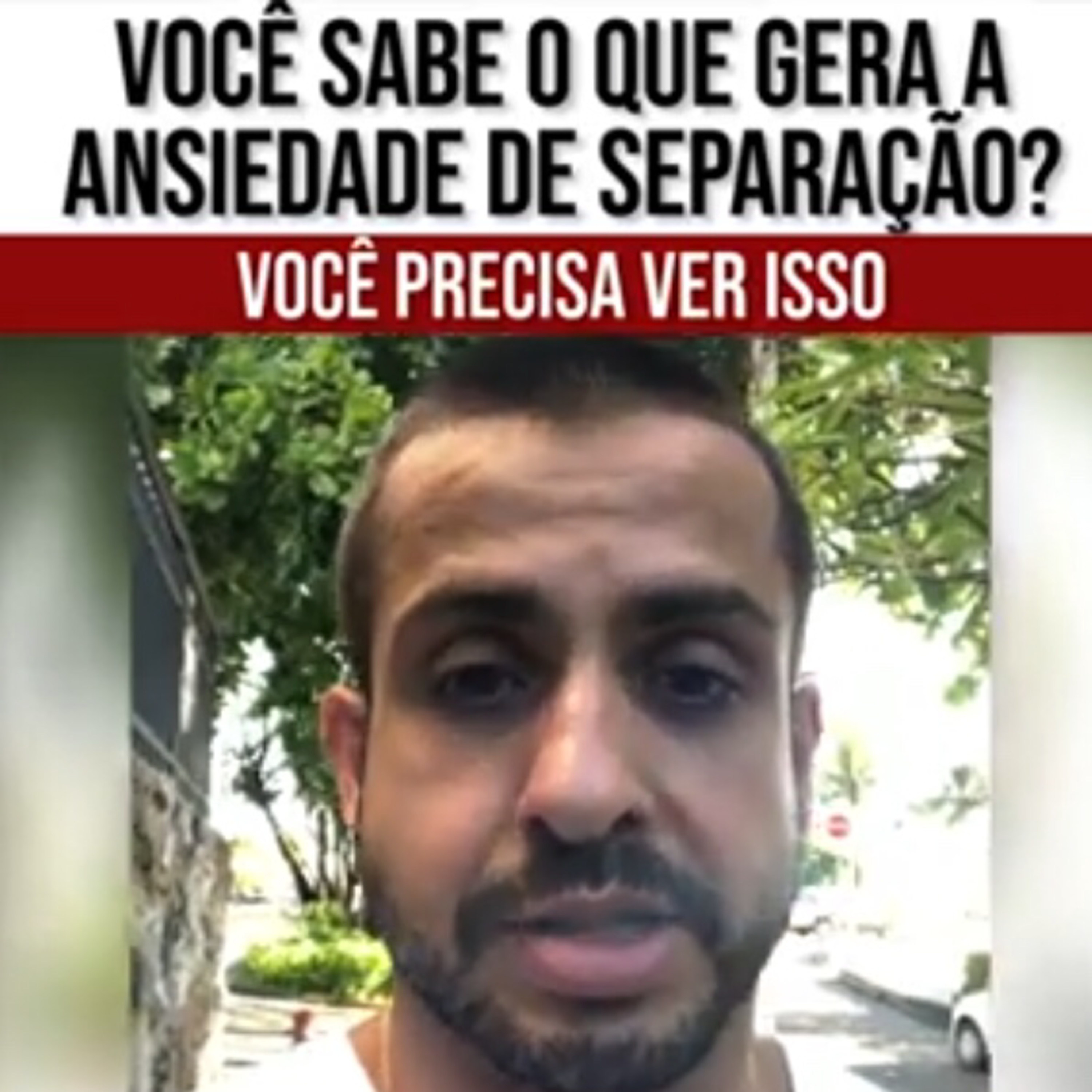 Henrique Perdigão