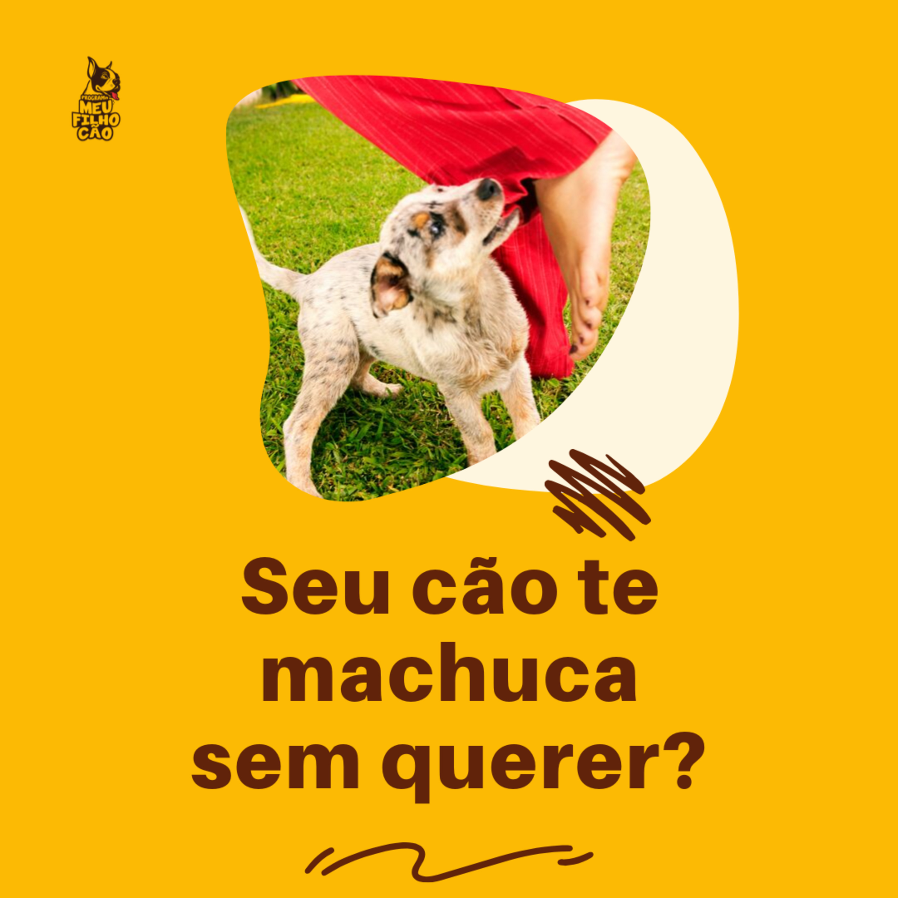 Henrique Perdigão