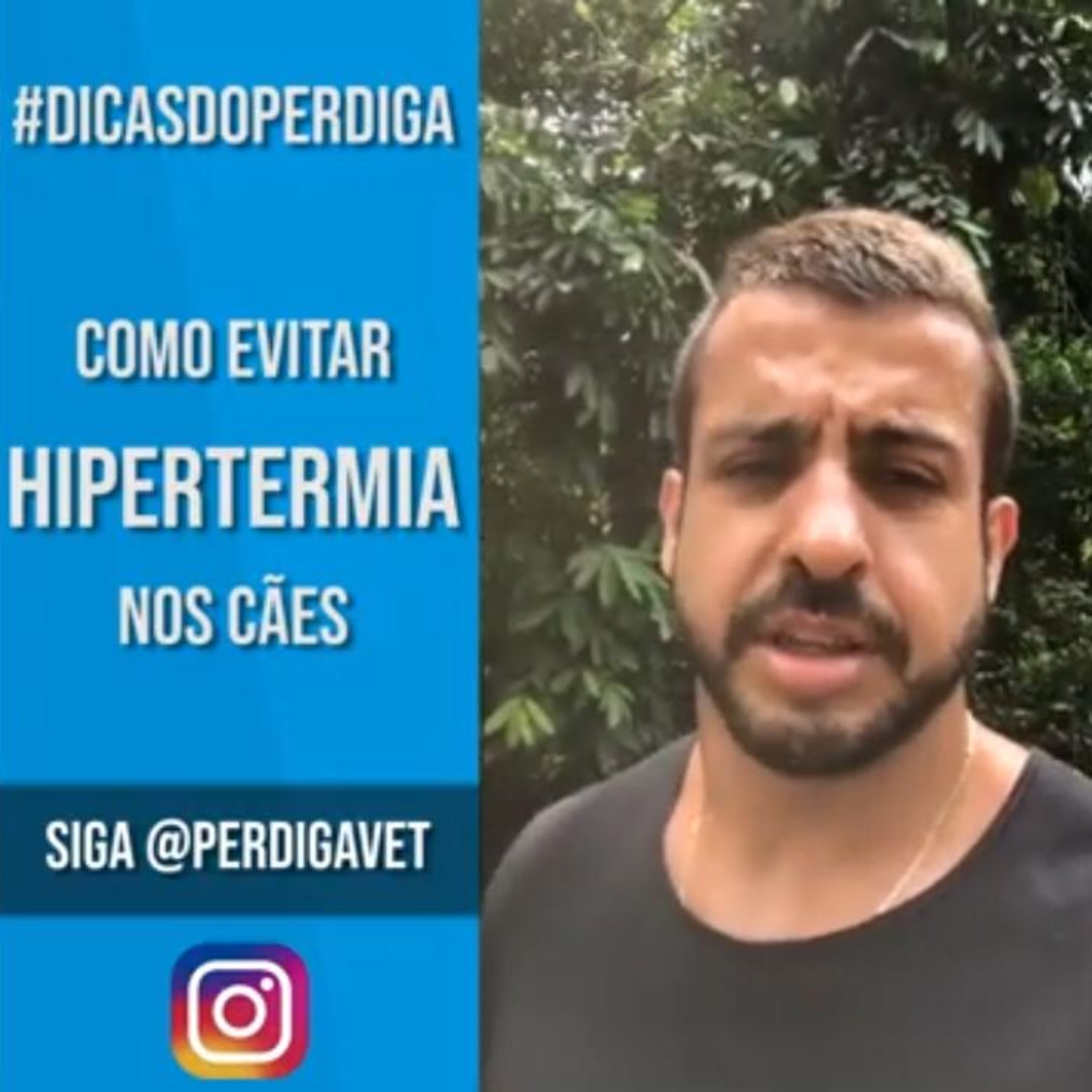 Henrique Perdigão