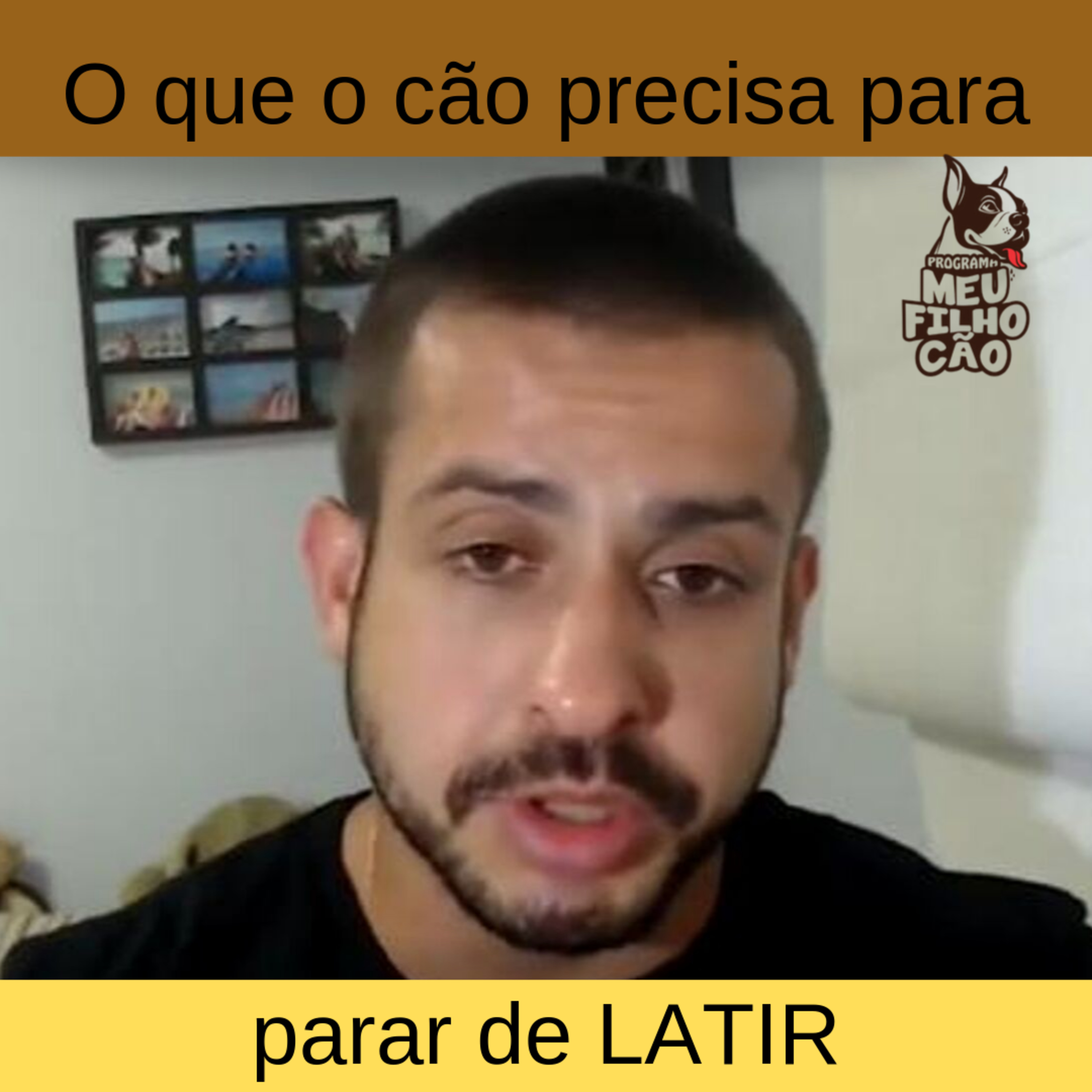 Henrique Perdigão