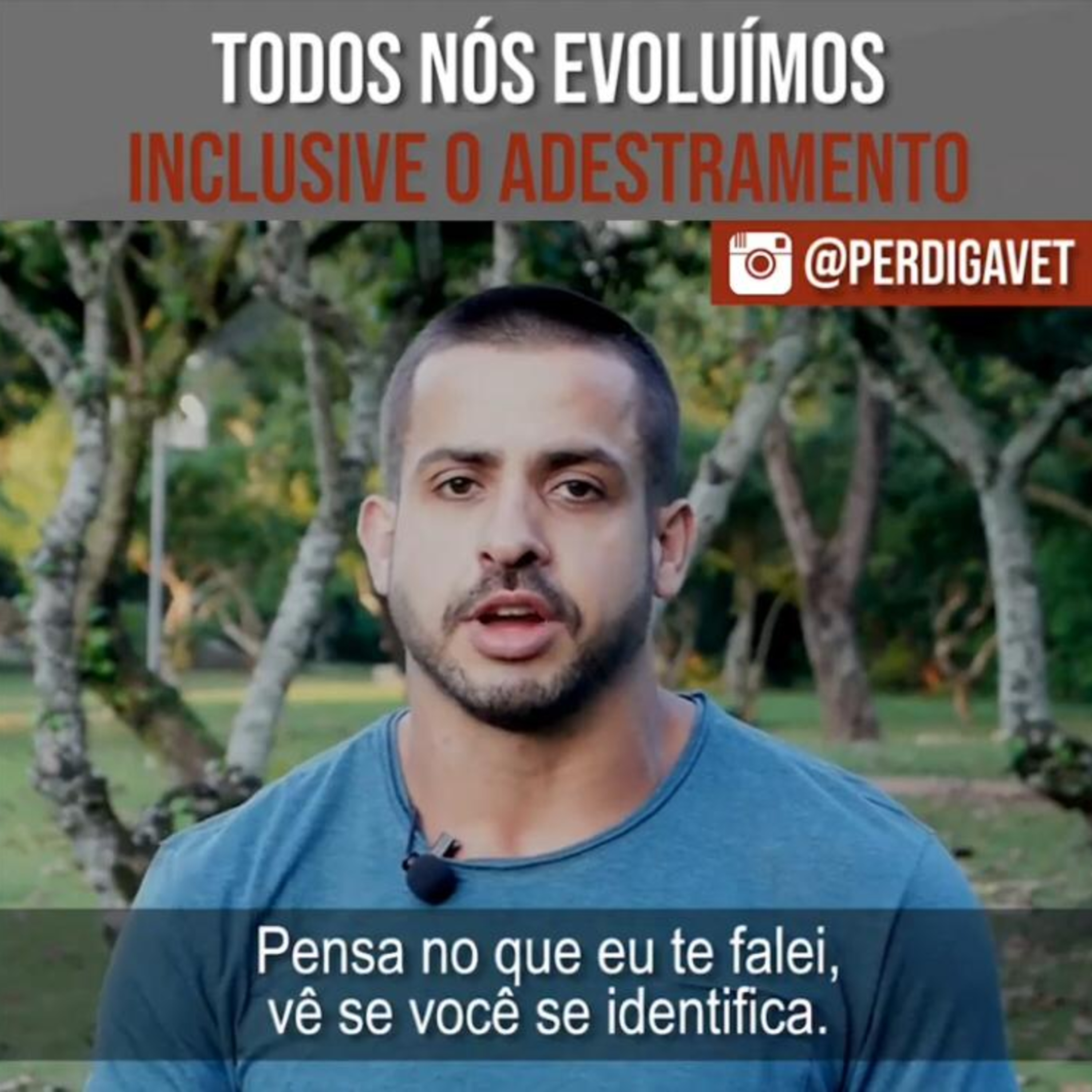 Henrique Perdigão