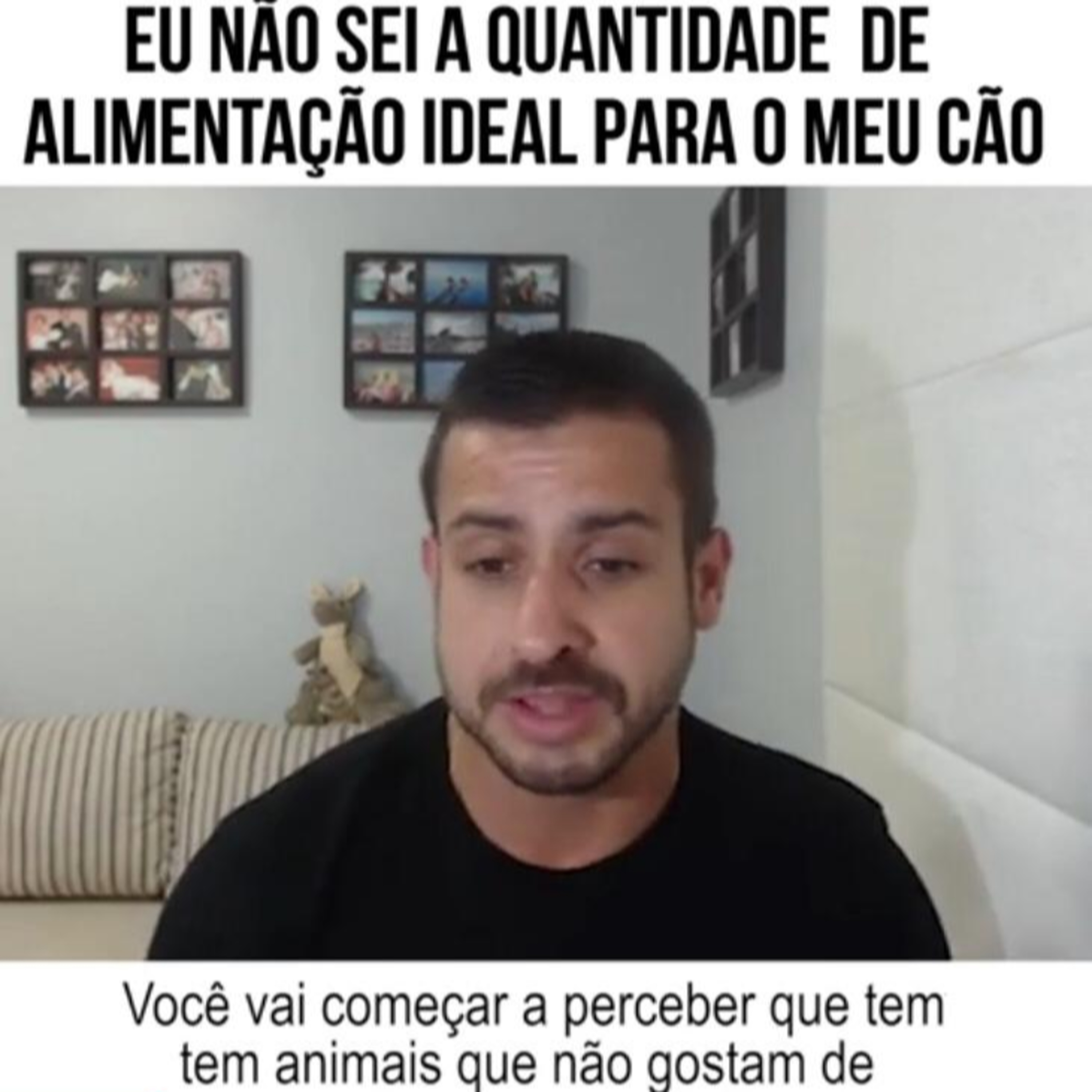 Henrique Perdigão