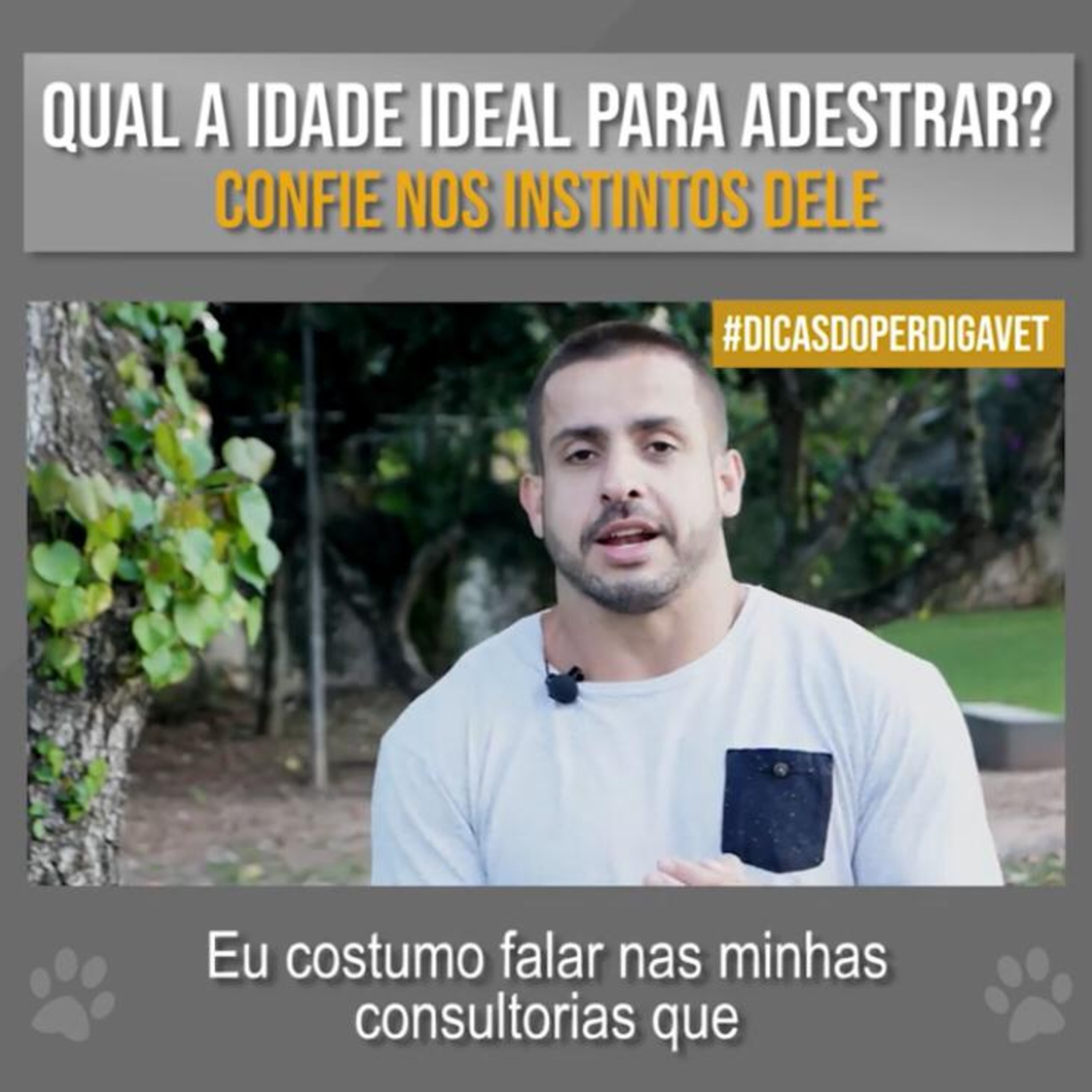 Henrique Perdigão