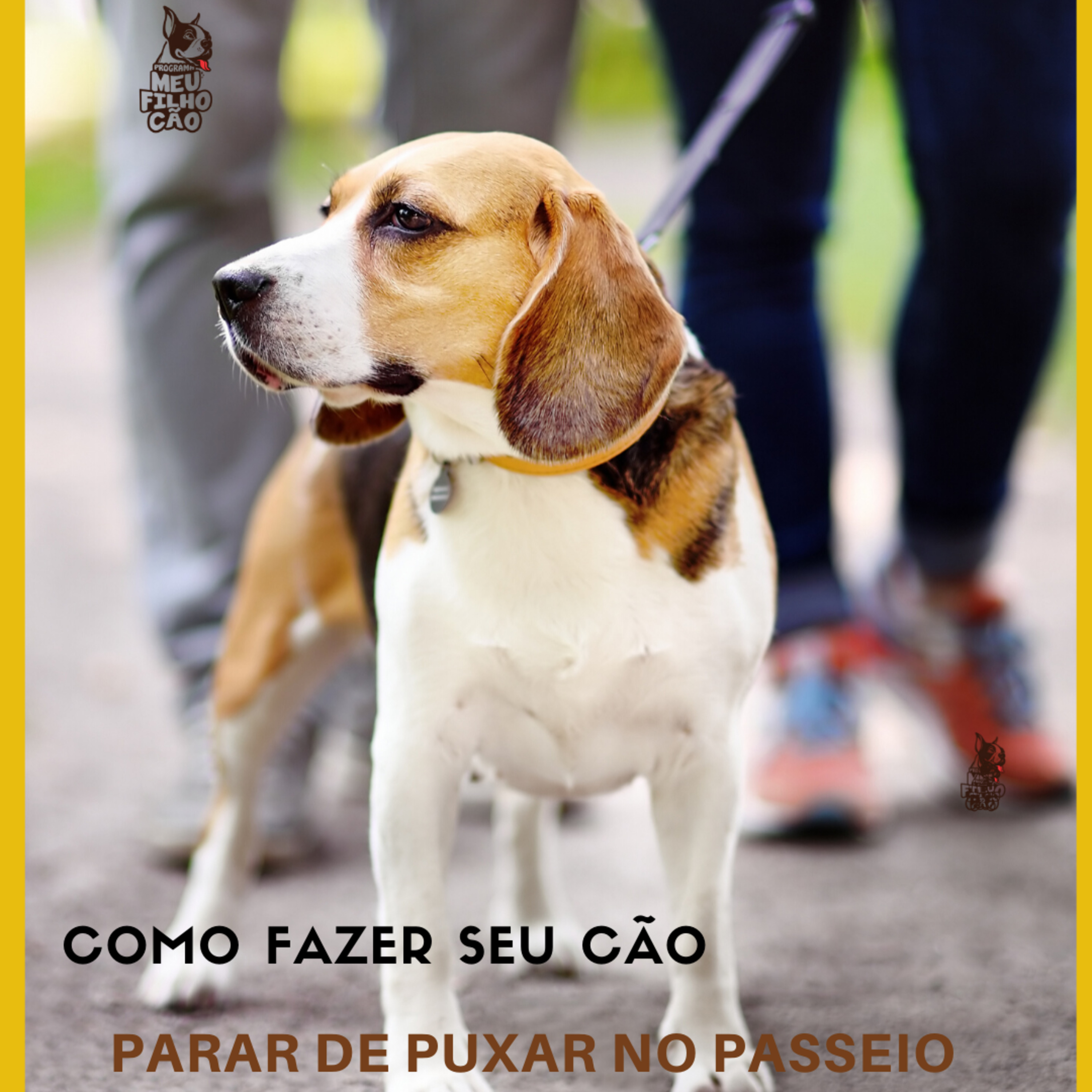 Henrique Perdigão
