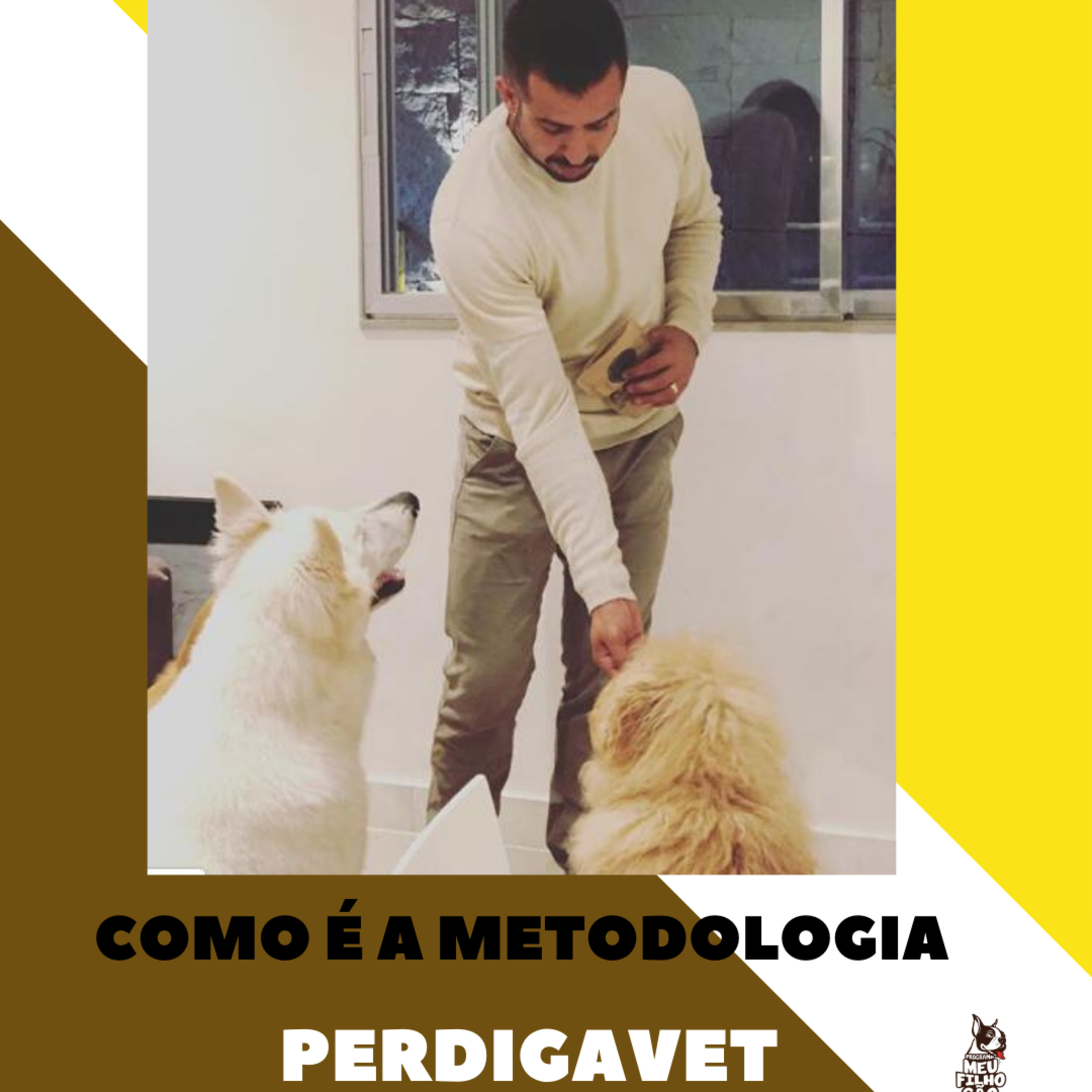 Henrique Perdigão