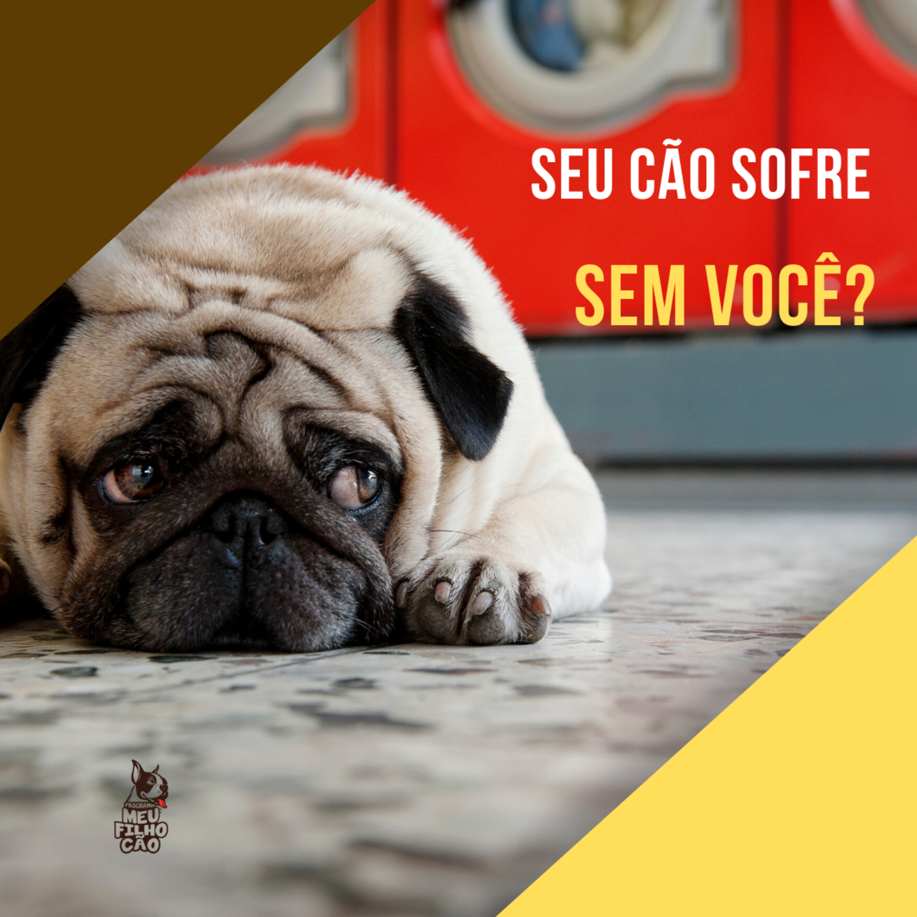 Henrique Perdigão