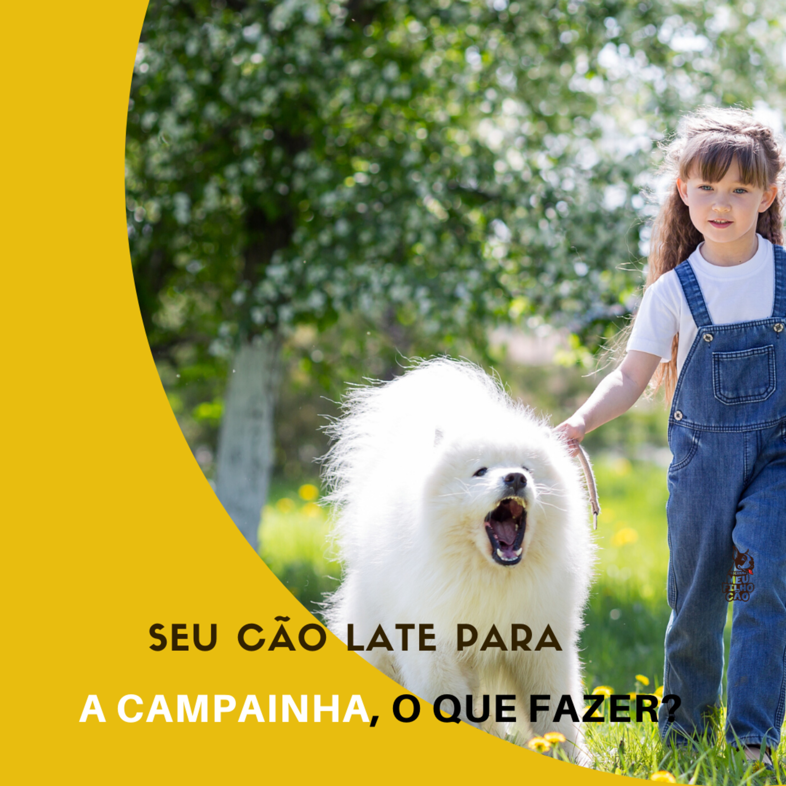 Henrique Perdigão