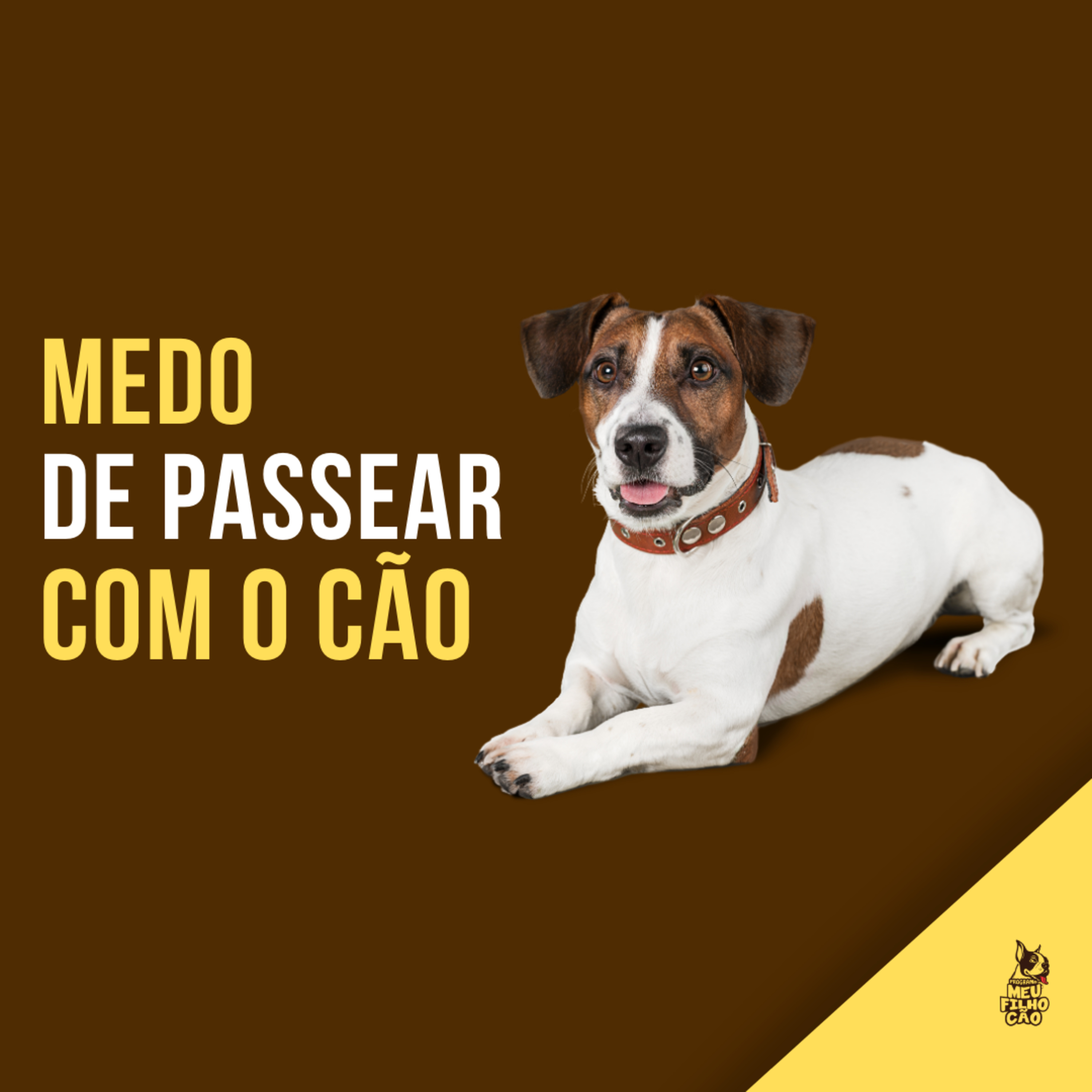 Henrique Perdigão