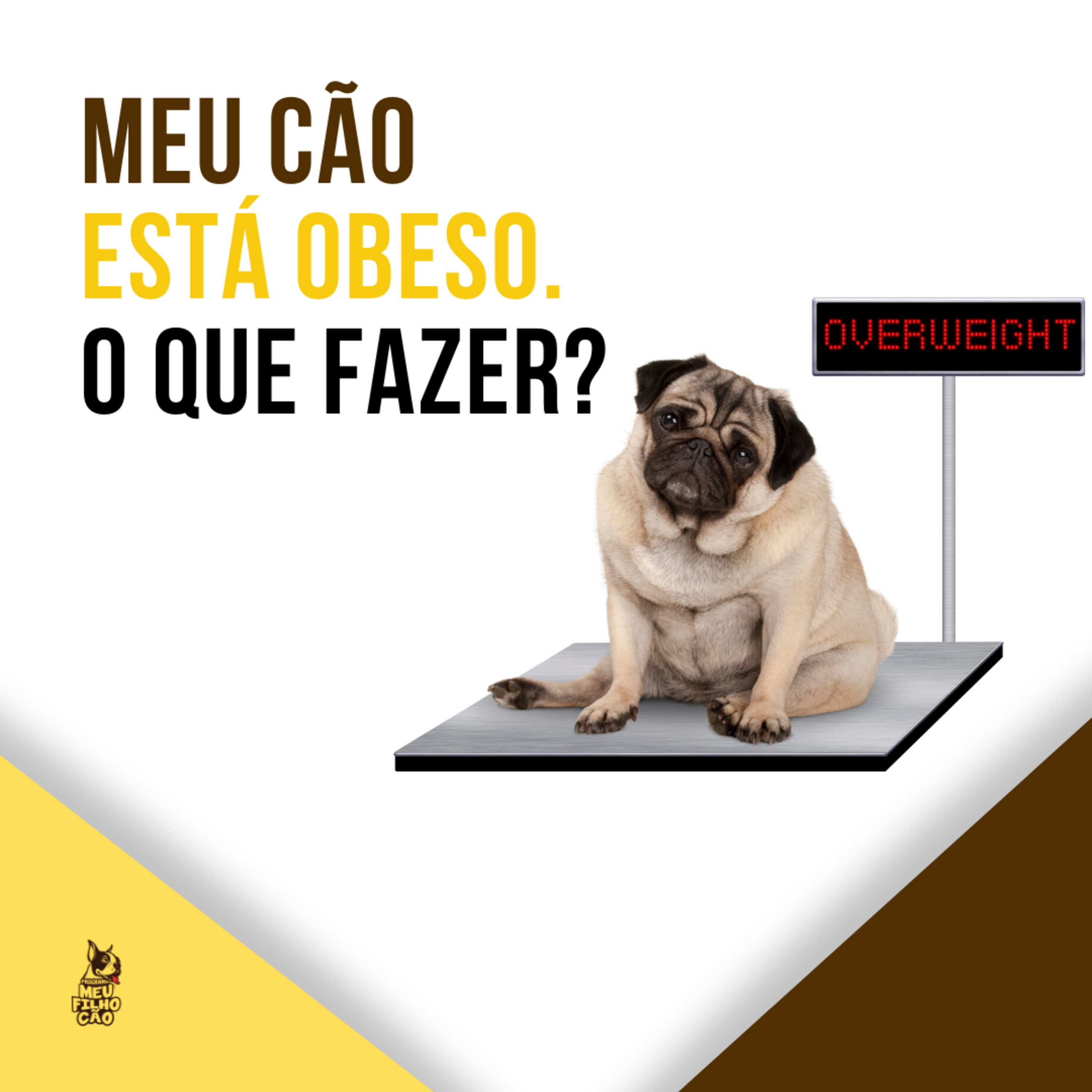 Henrique Perdigão
