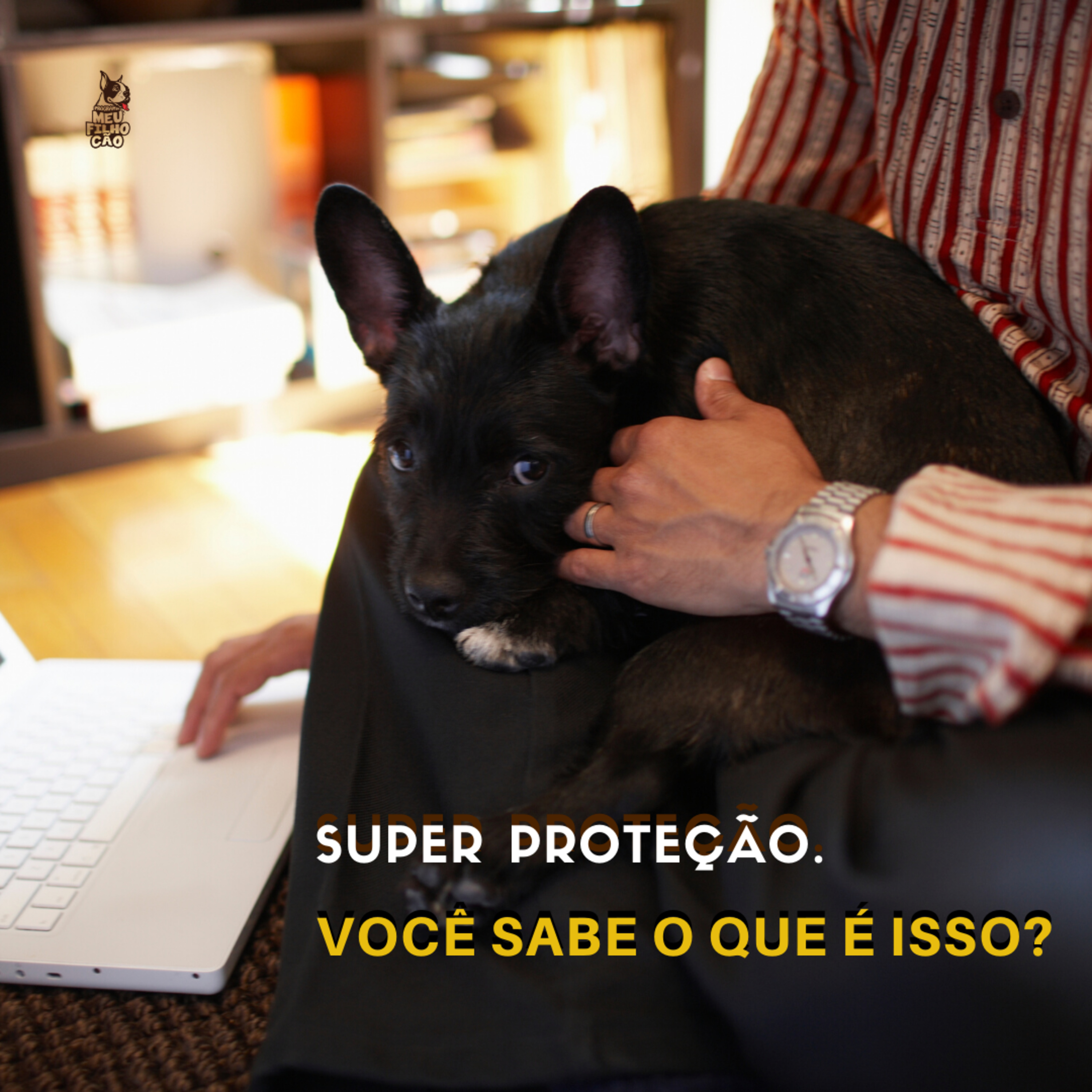 Henrique Perdigão