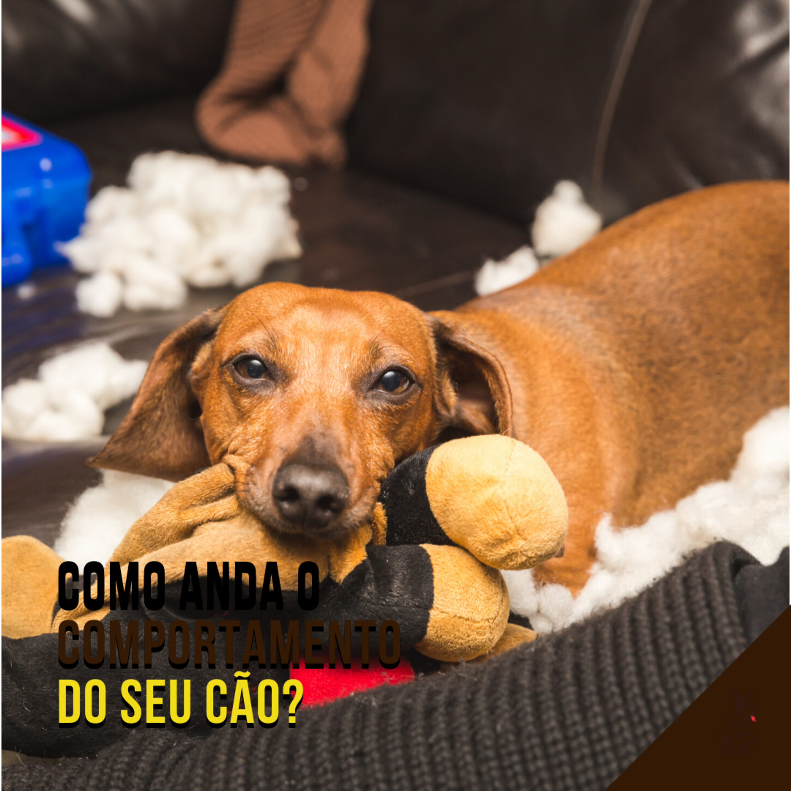 Henrique Perdigão