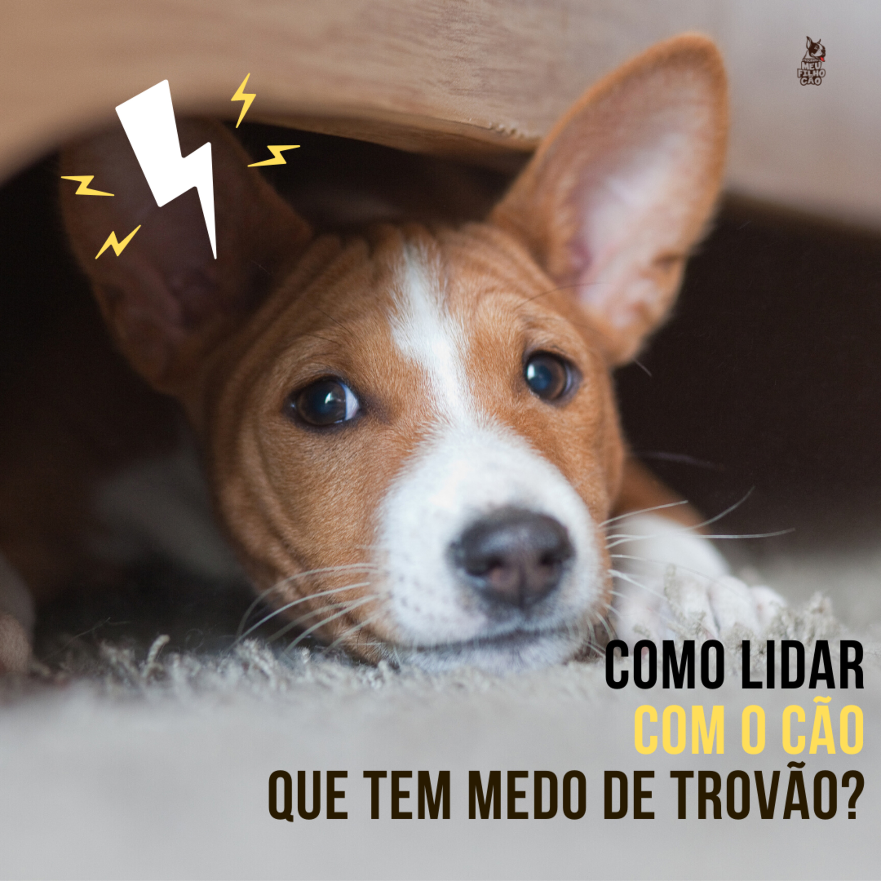 Henrique Perdigão