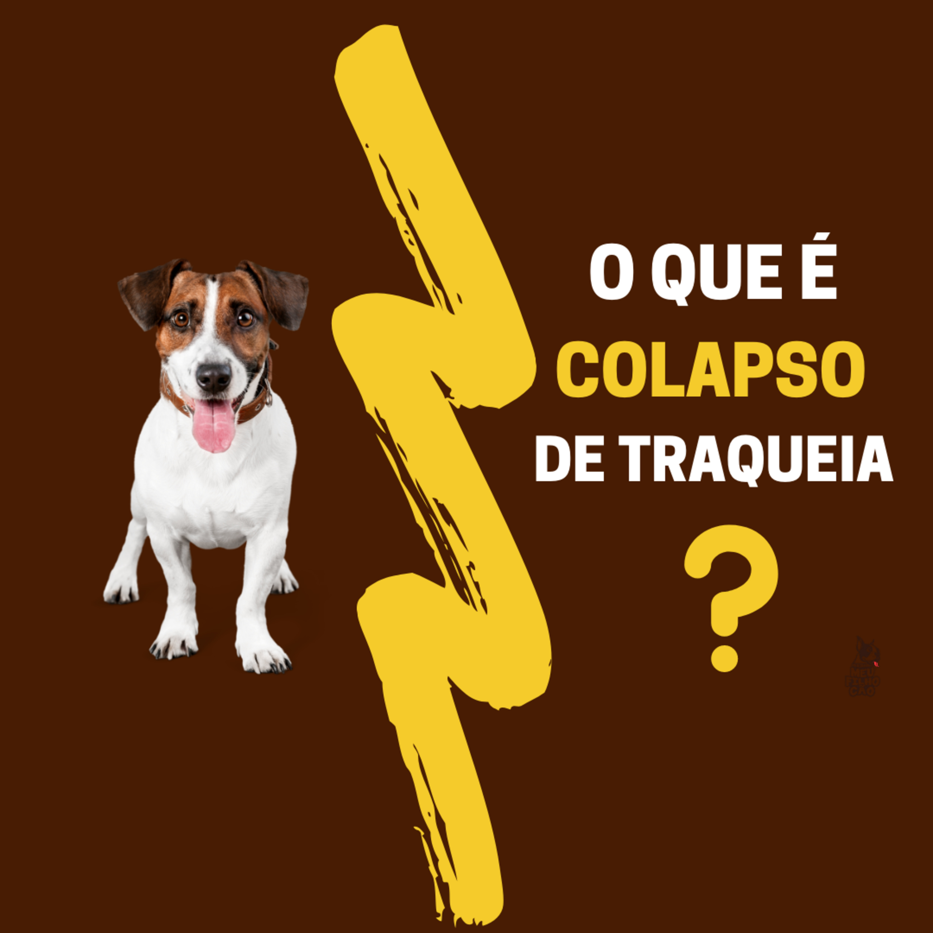 Henrique Perdigão