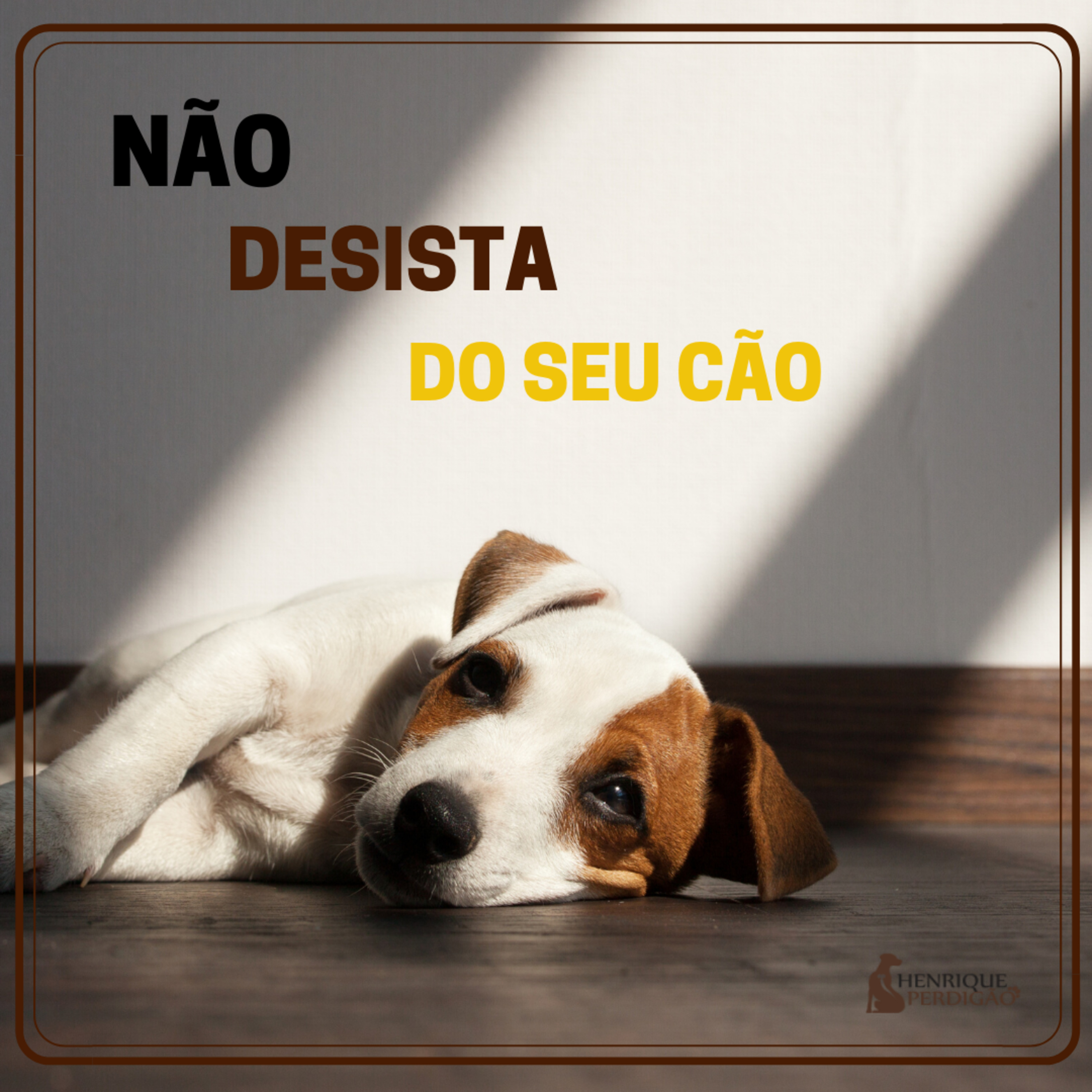Henrique Perdigão