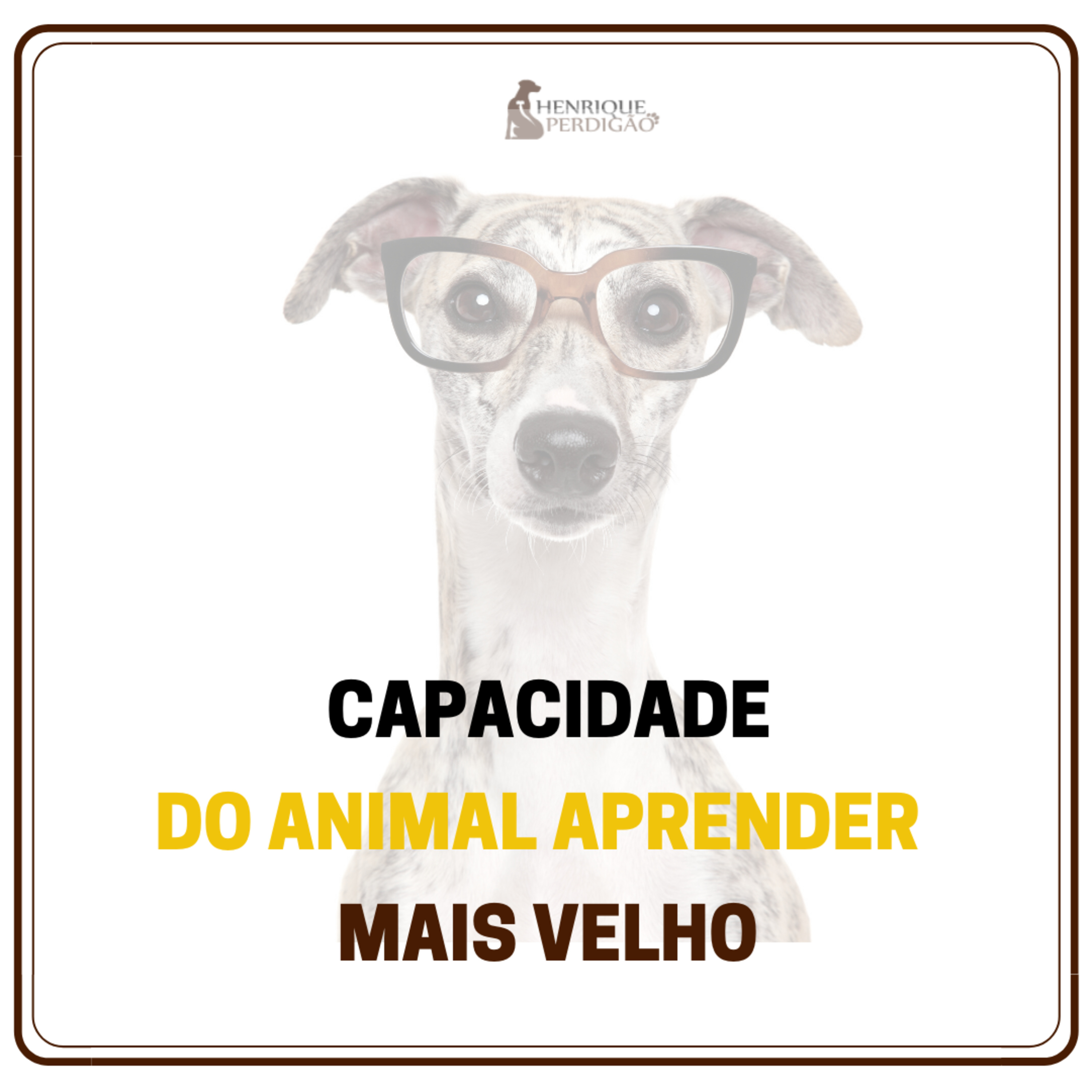 Henrique Perdigão