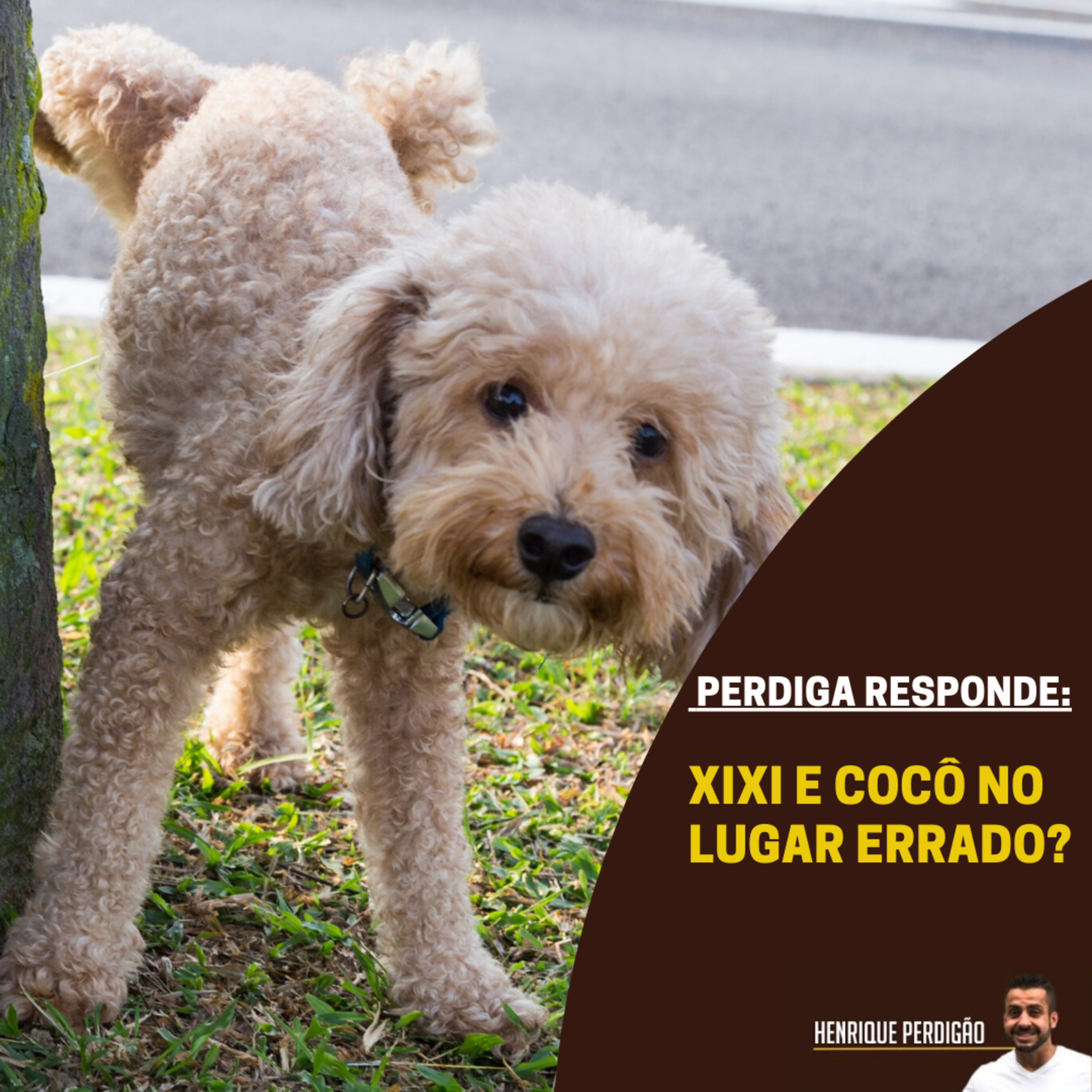 Henrique Perdigão