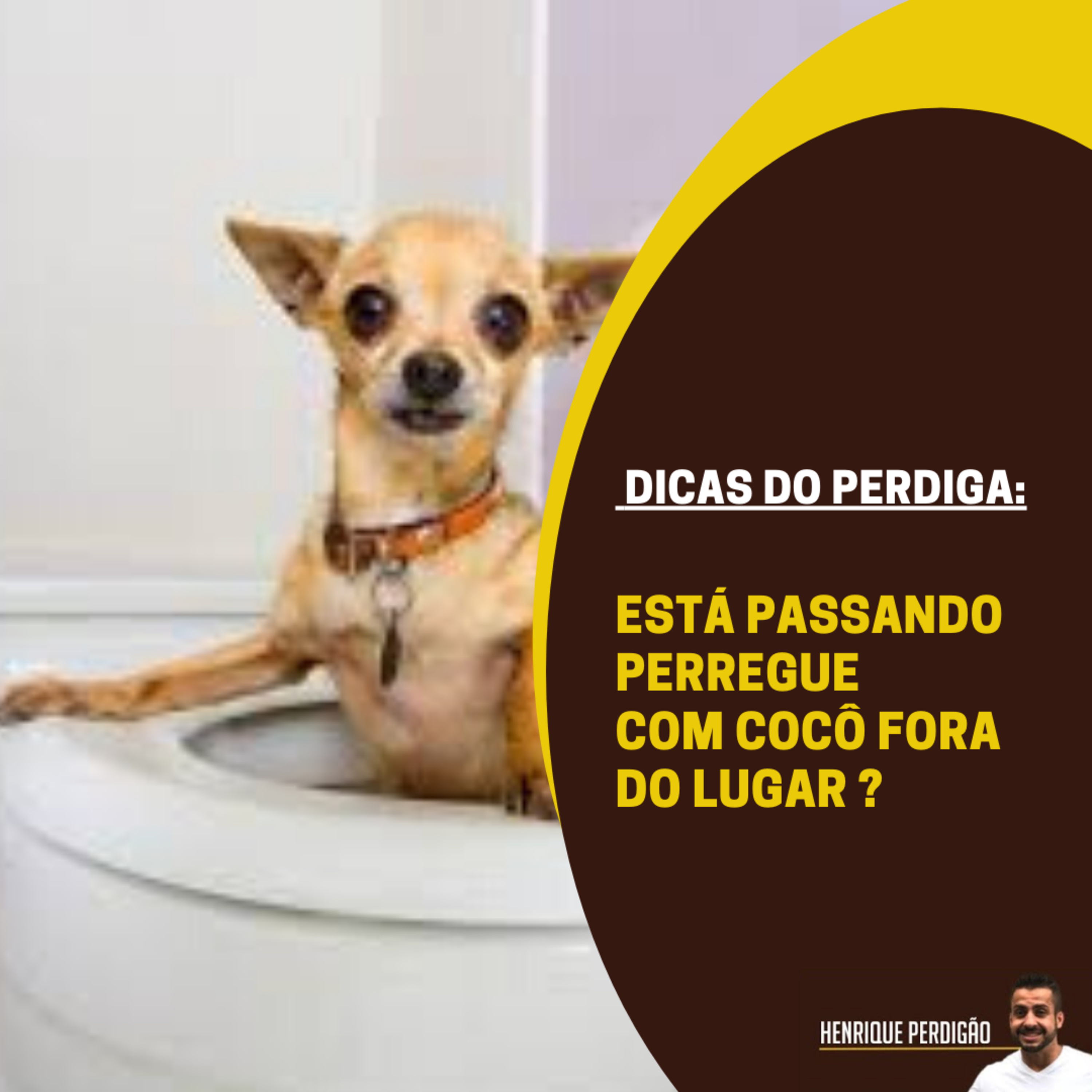 Henrique Perdigão