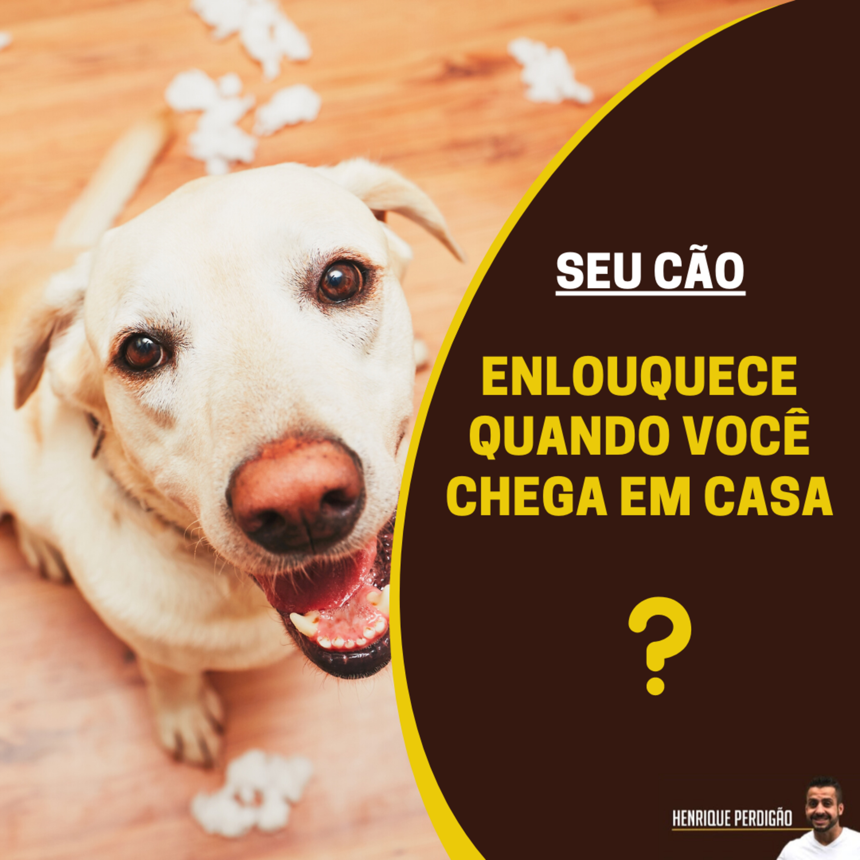 Henrique Perdigão
