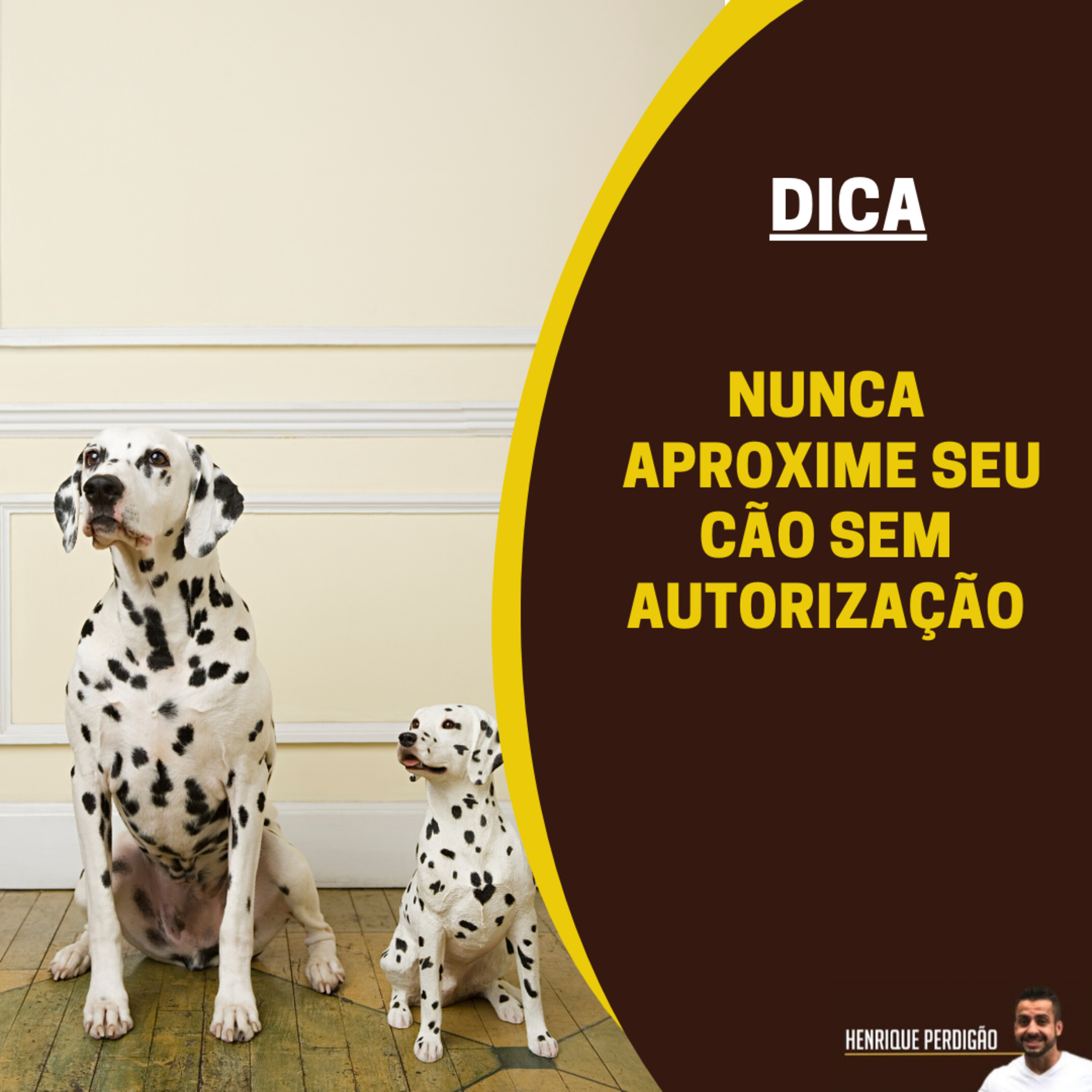 Henrique Perdigão