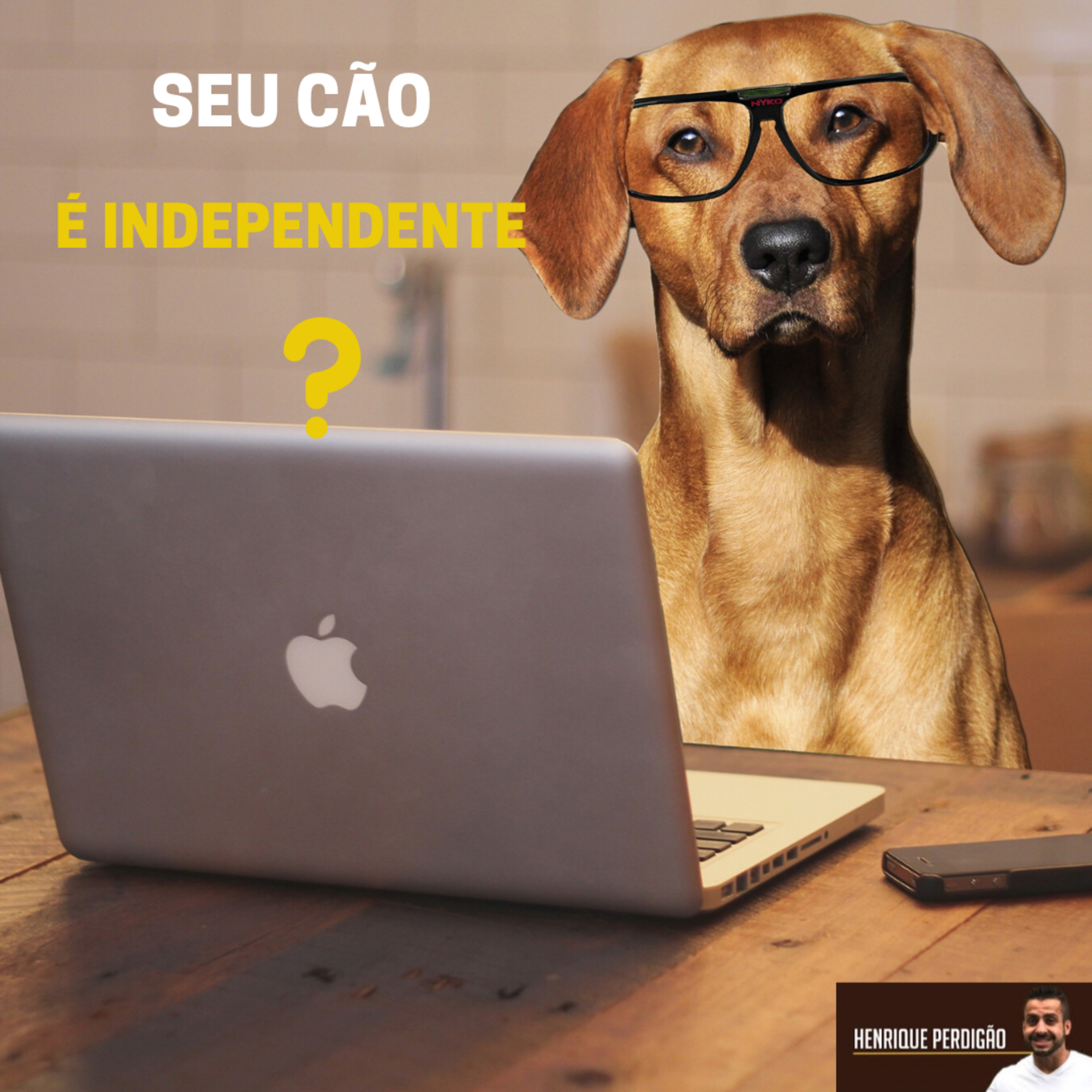 Henrique Perdigão