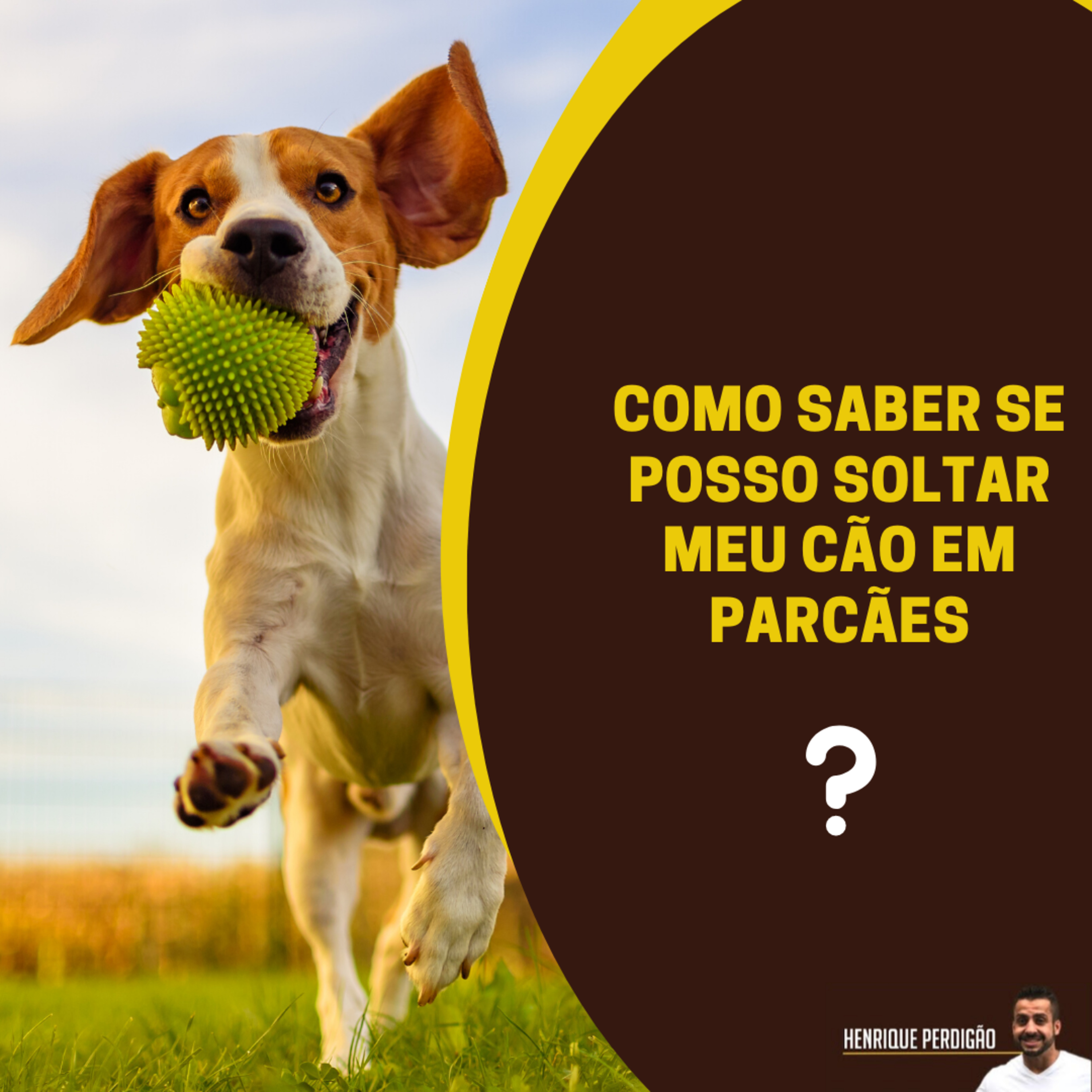 Henrique Perdigão
