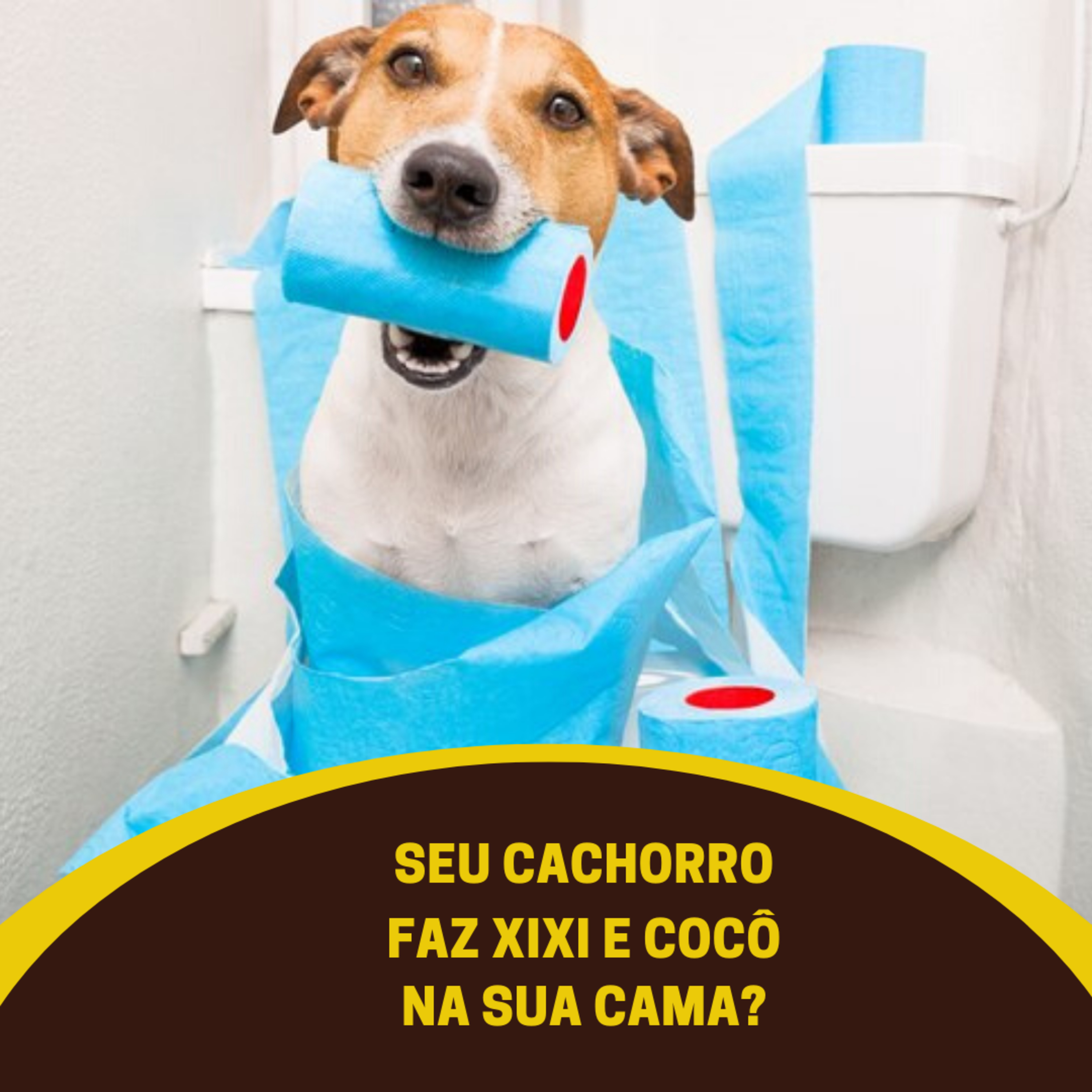 Henrique Perdigão