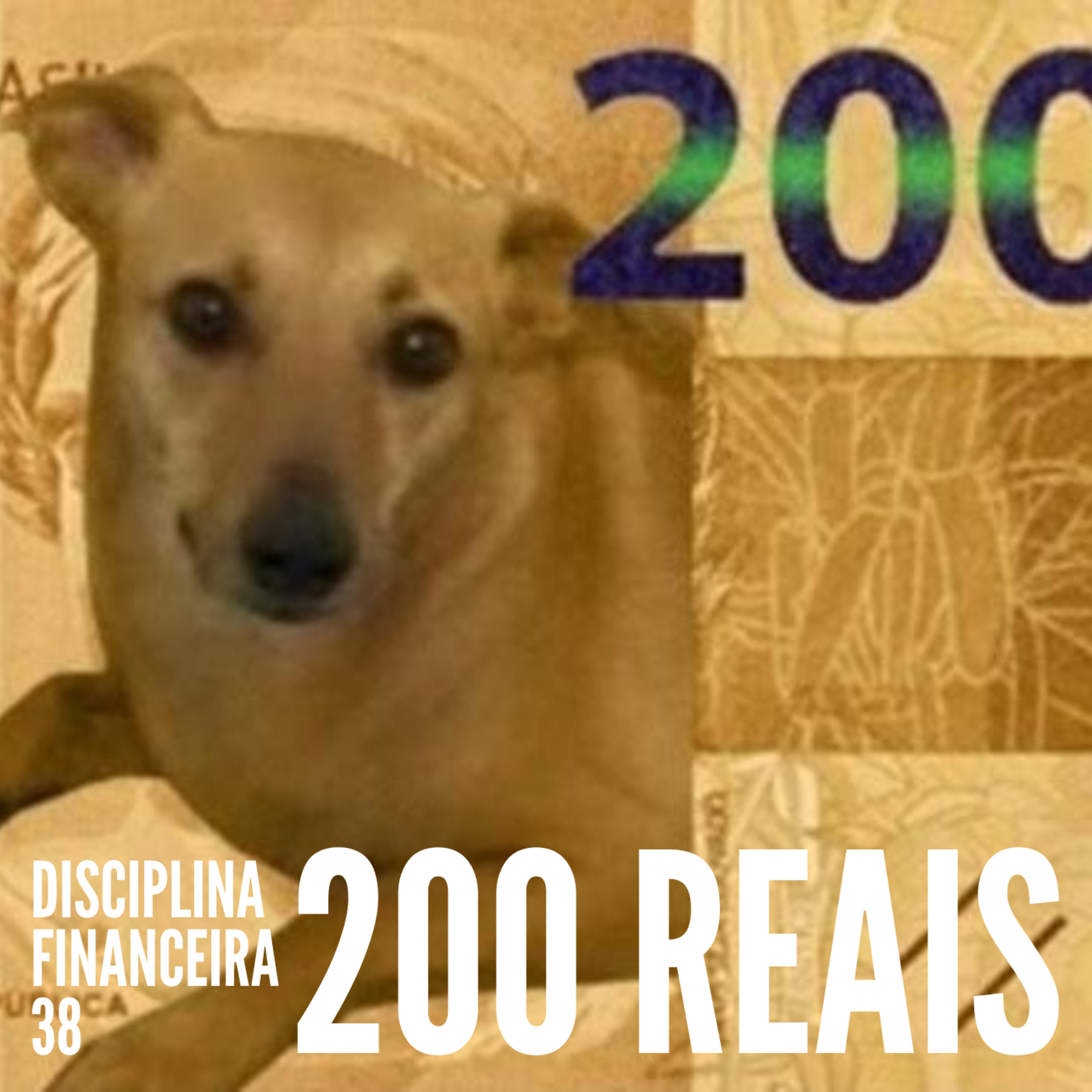 Disciplina Financeira