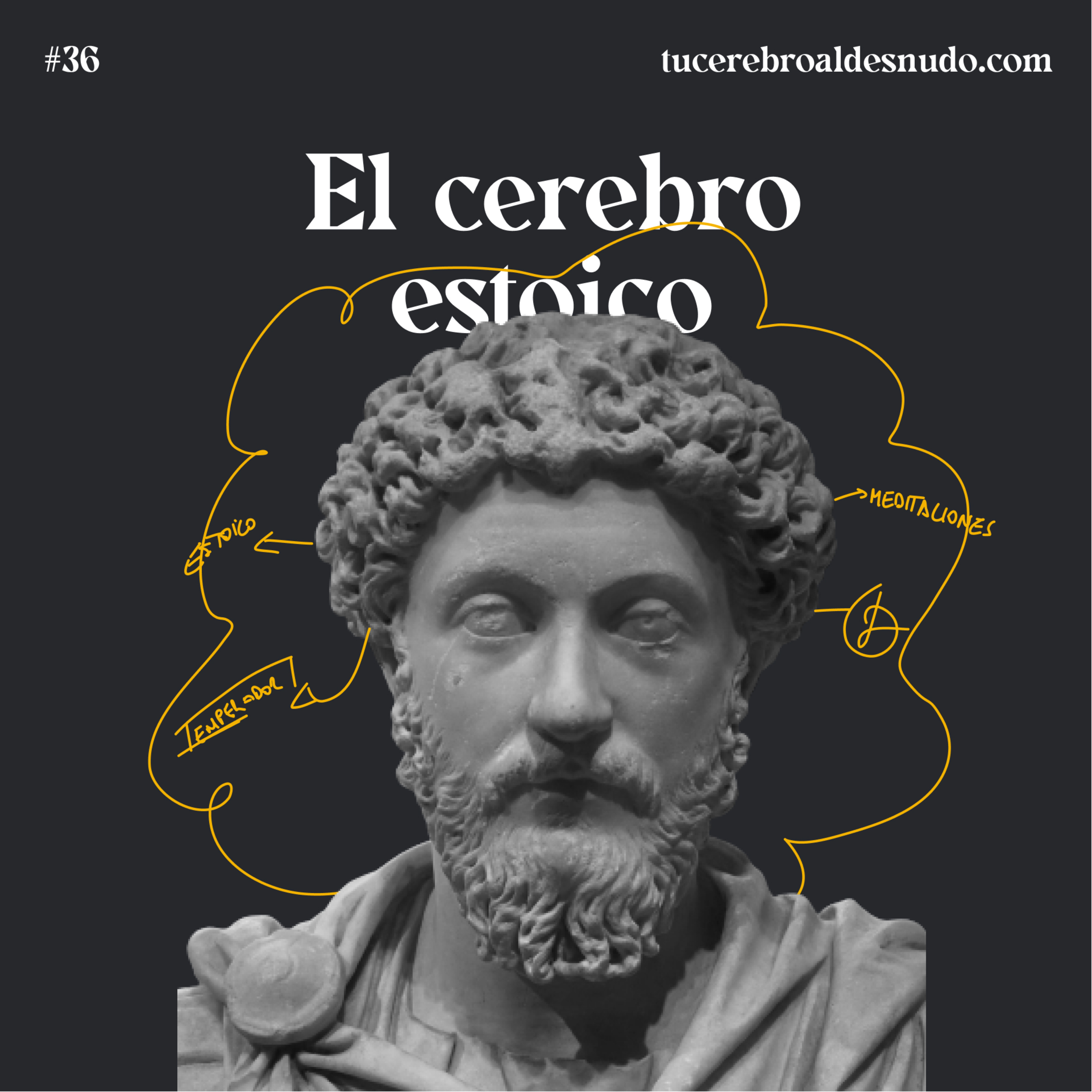 Cerebro Injodible®