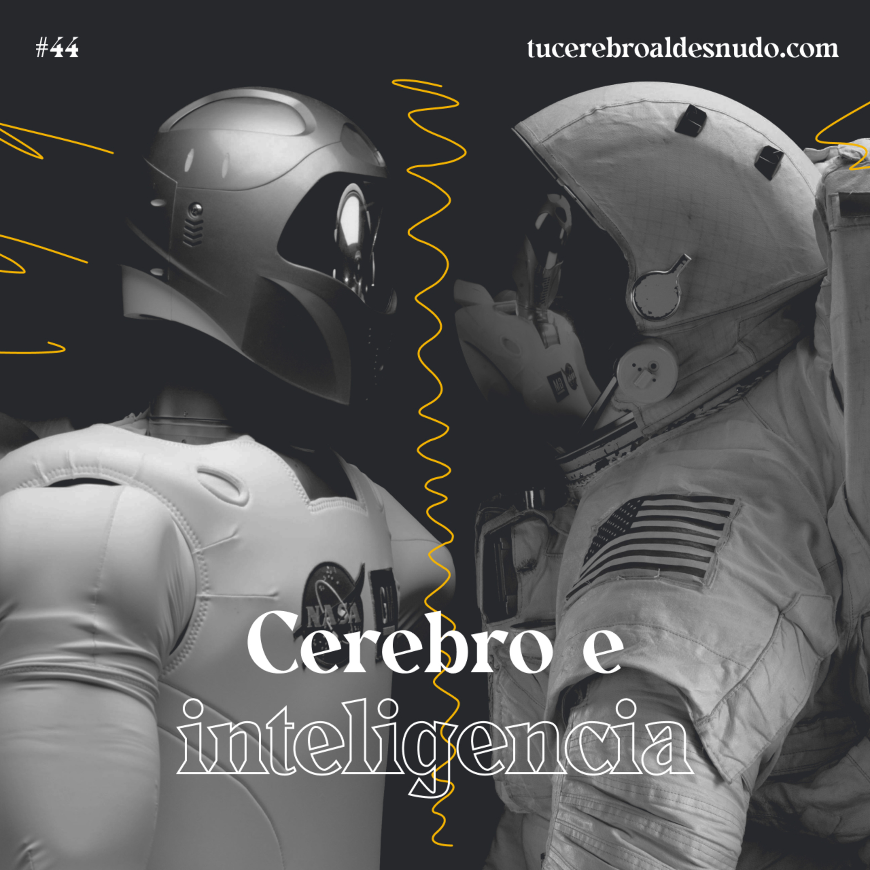 Cerebro Injodible®