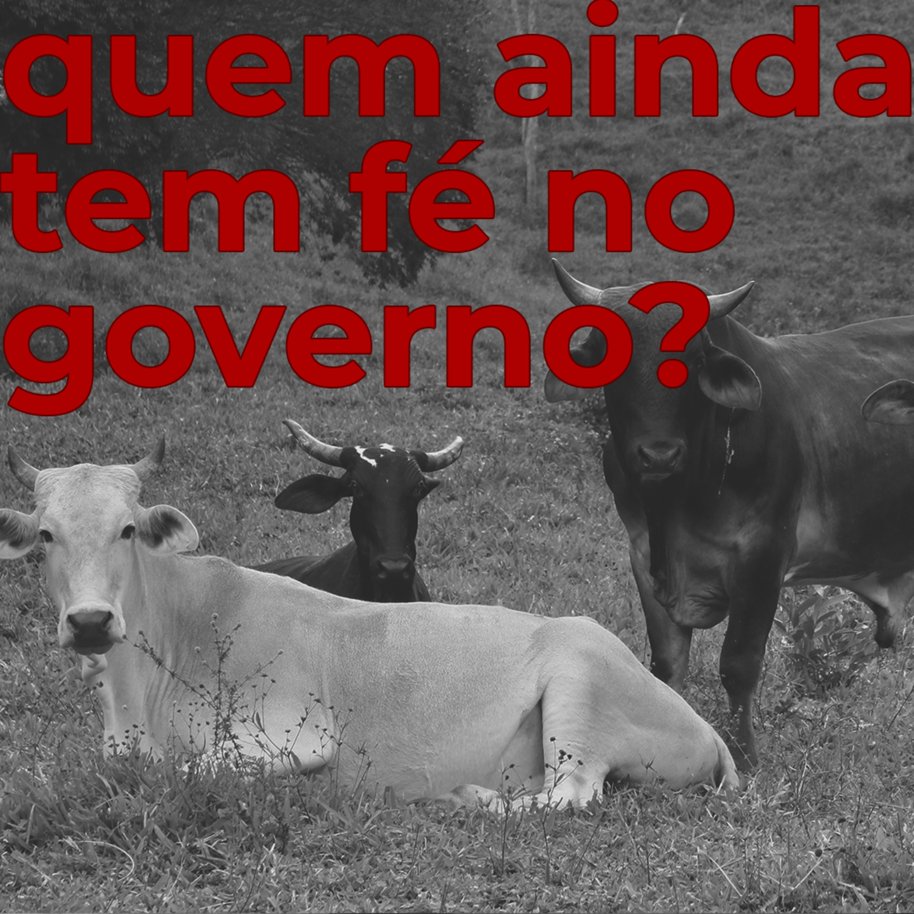 Fora da Curva