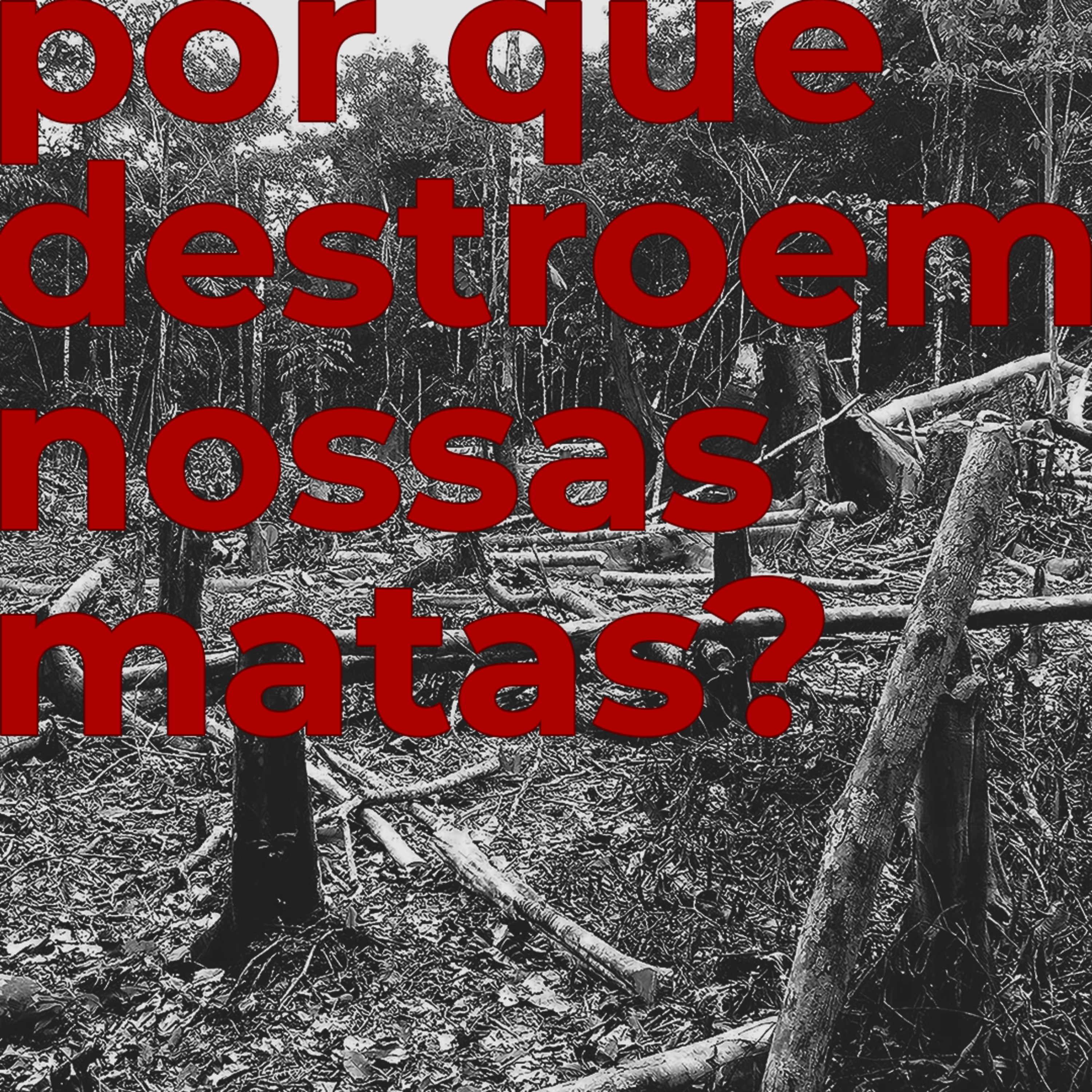 T09E10 - Por que destroem nossas matas?