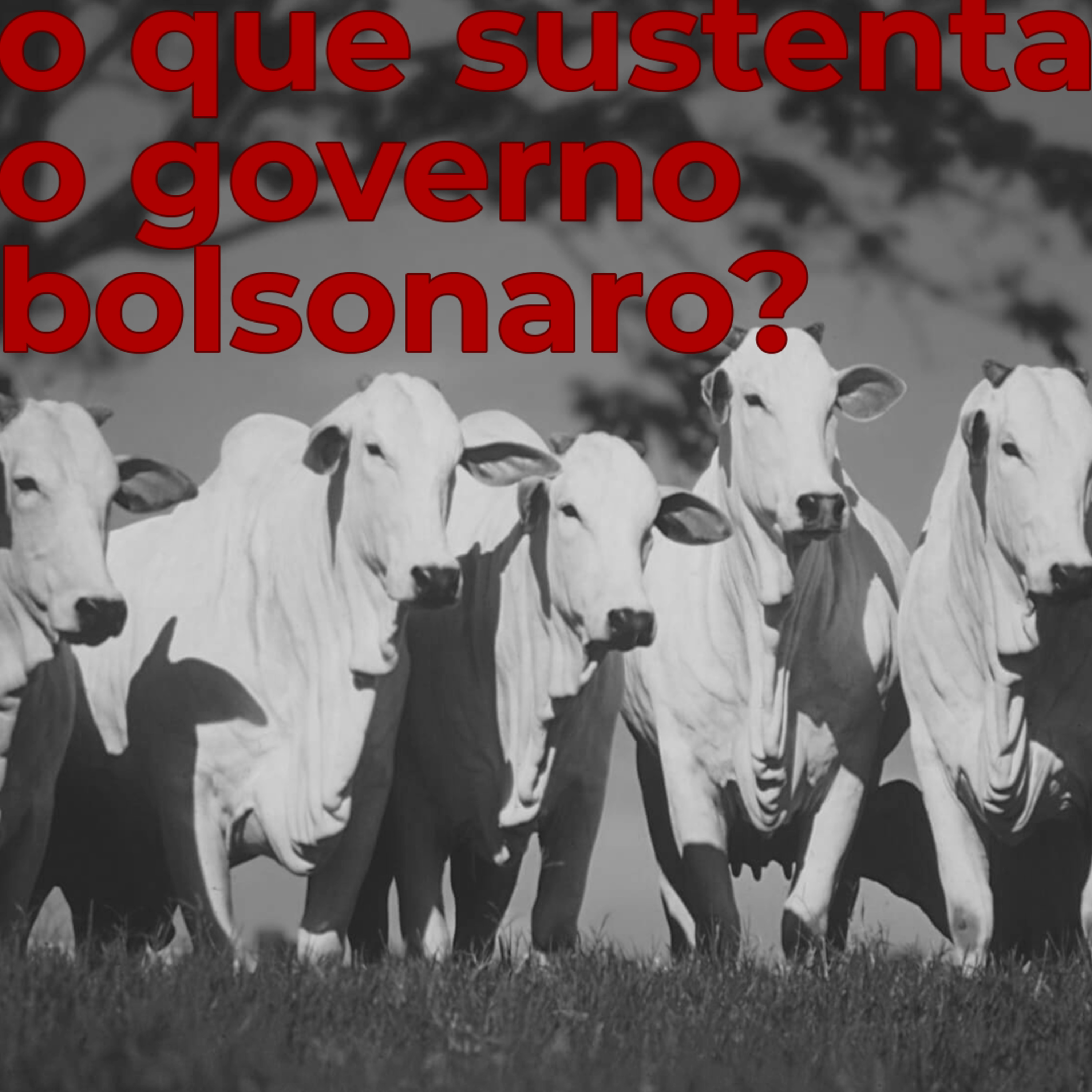 T09E14 - O que sustenta o governo Bolsonaro? episode artwork