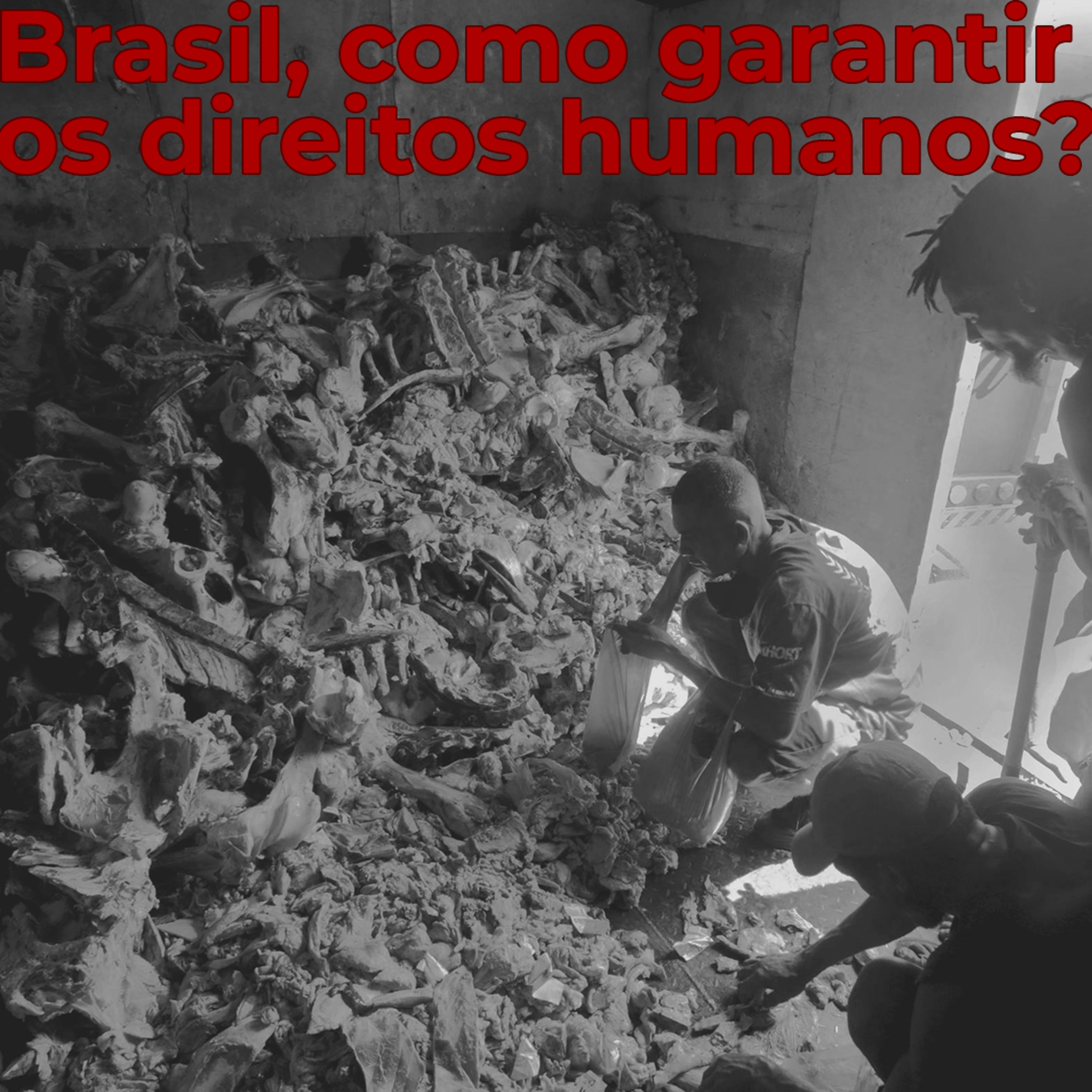T09E35 - Brasil, como garantir os direitos humanos? episode artwork