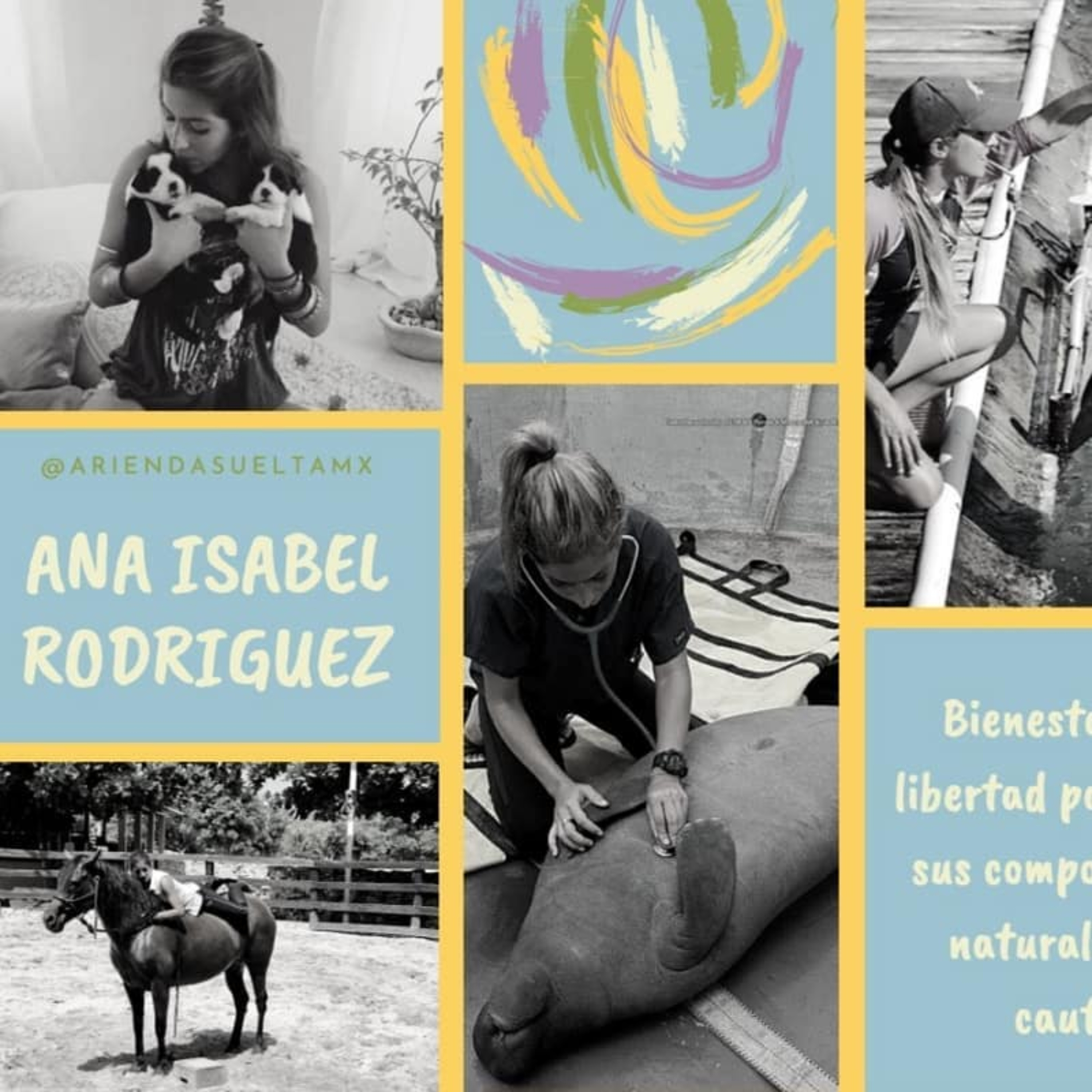 A Rienda Suelta