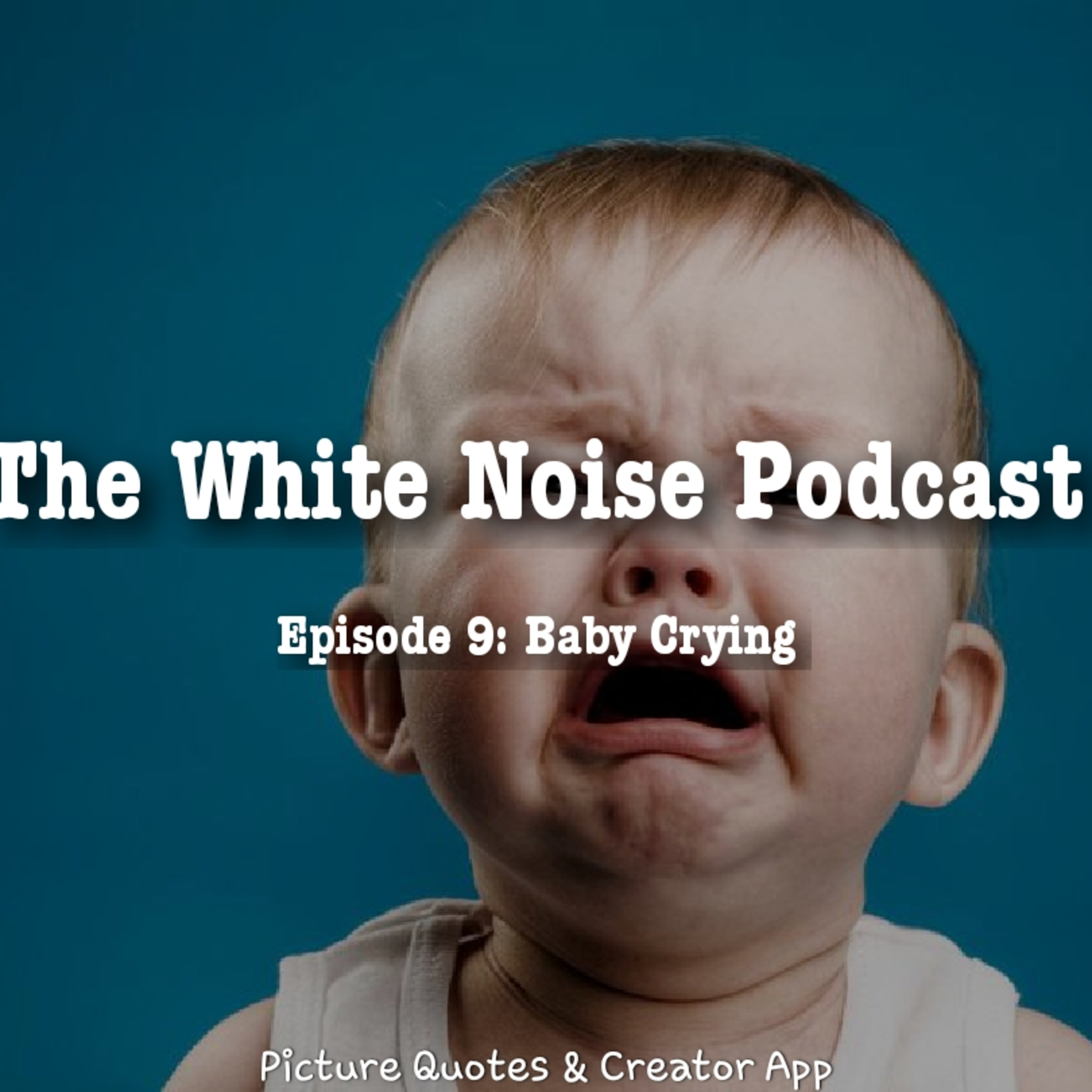 The White Noise Podcast: Its Just White Noise