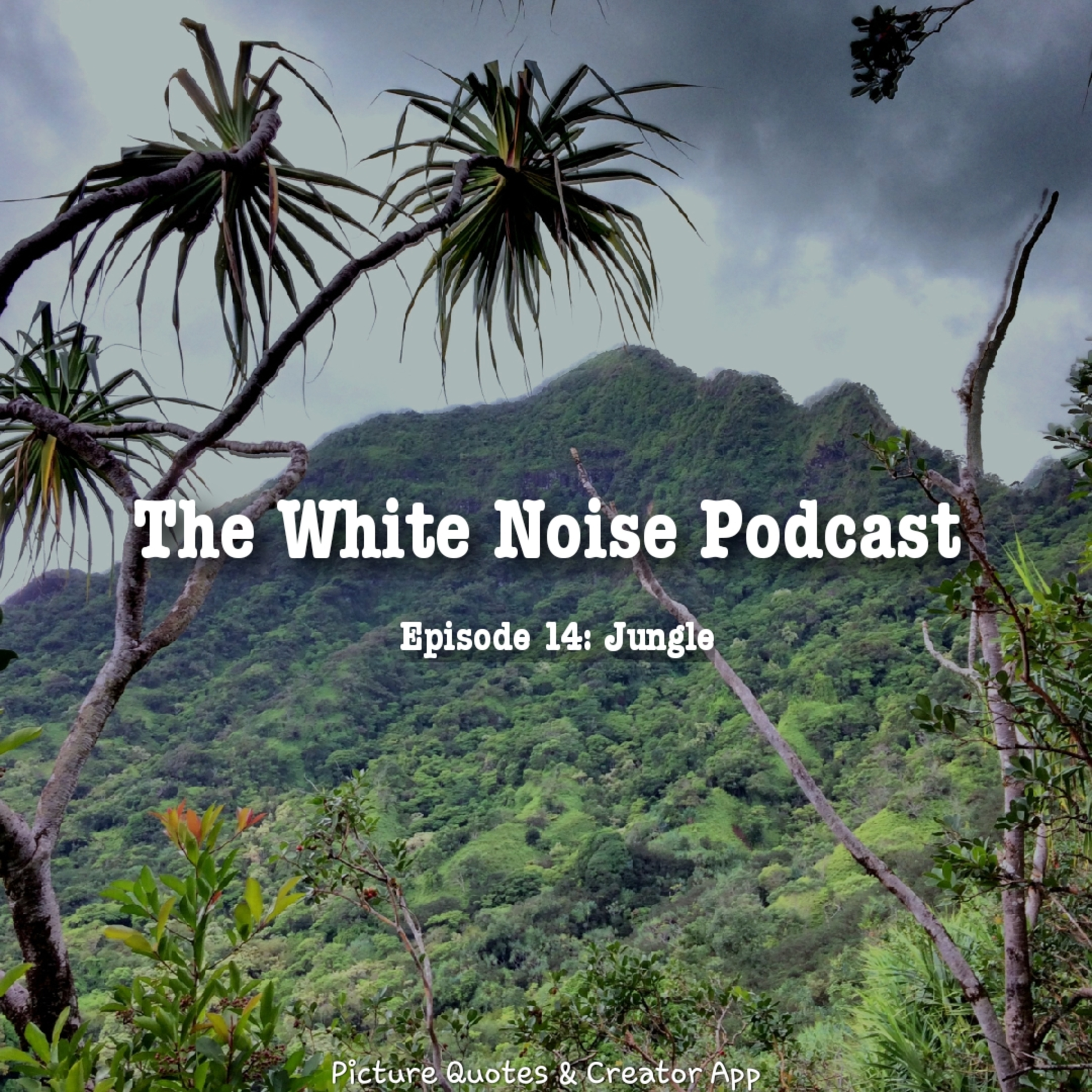 The White Noise Podcast: Its Just White Noise