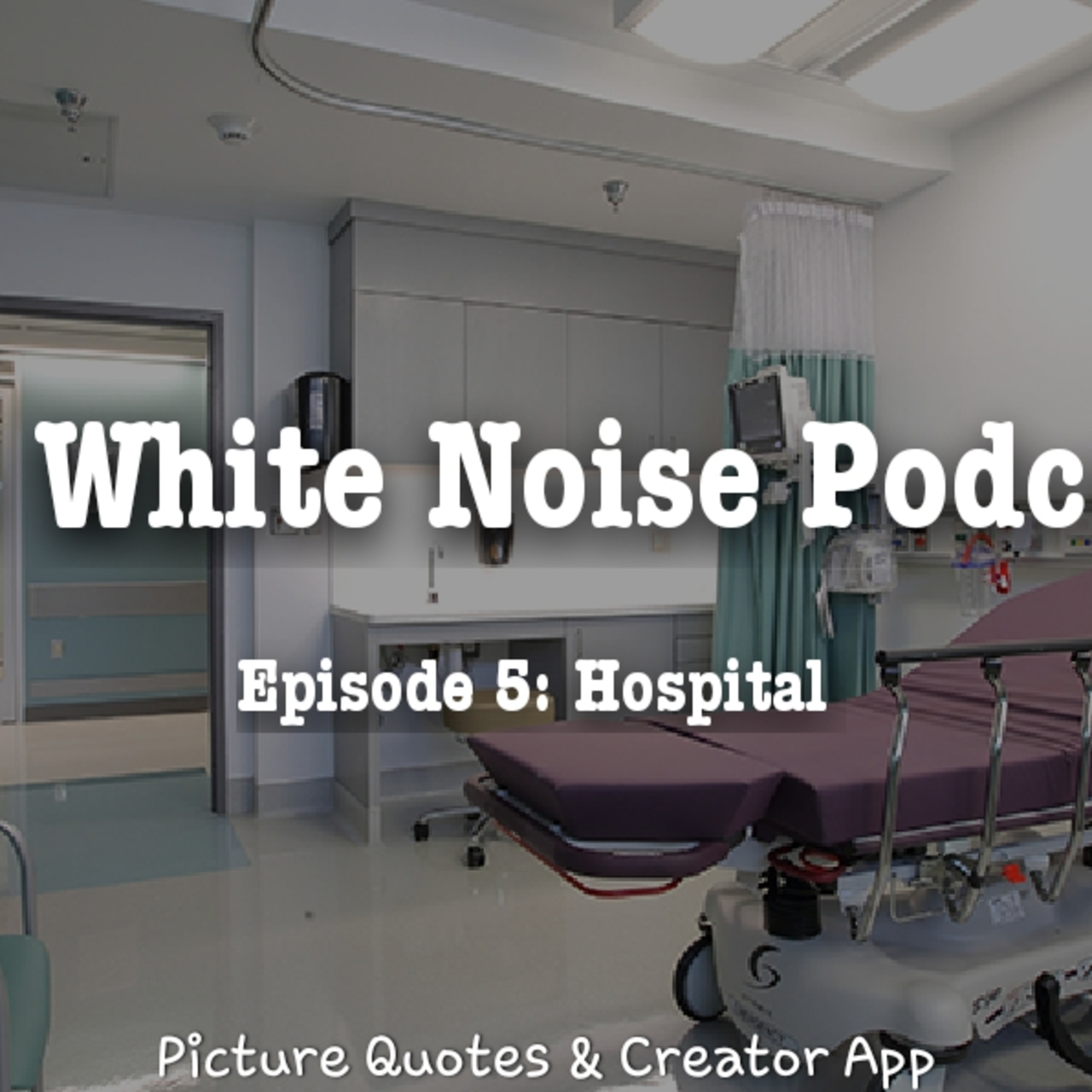 The White Noise Podcast: Its Just White Noise